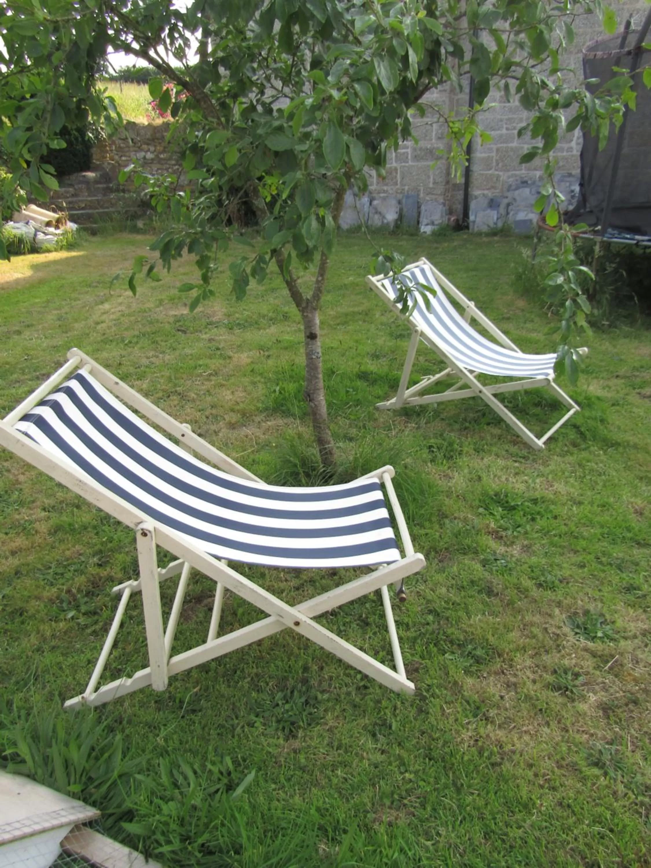 Garden view, Garden in Treganoon House, Lanlivery