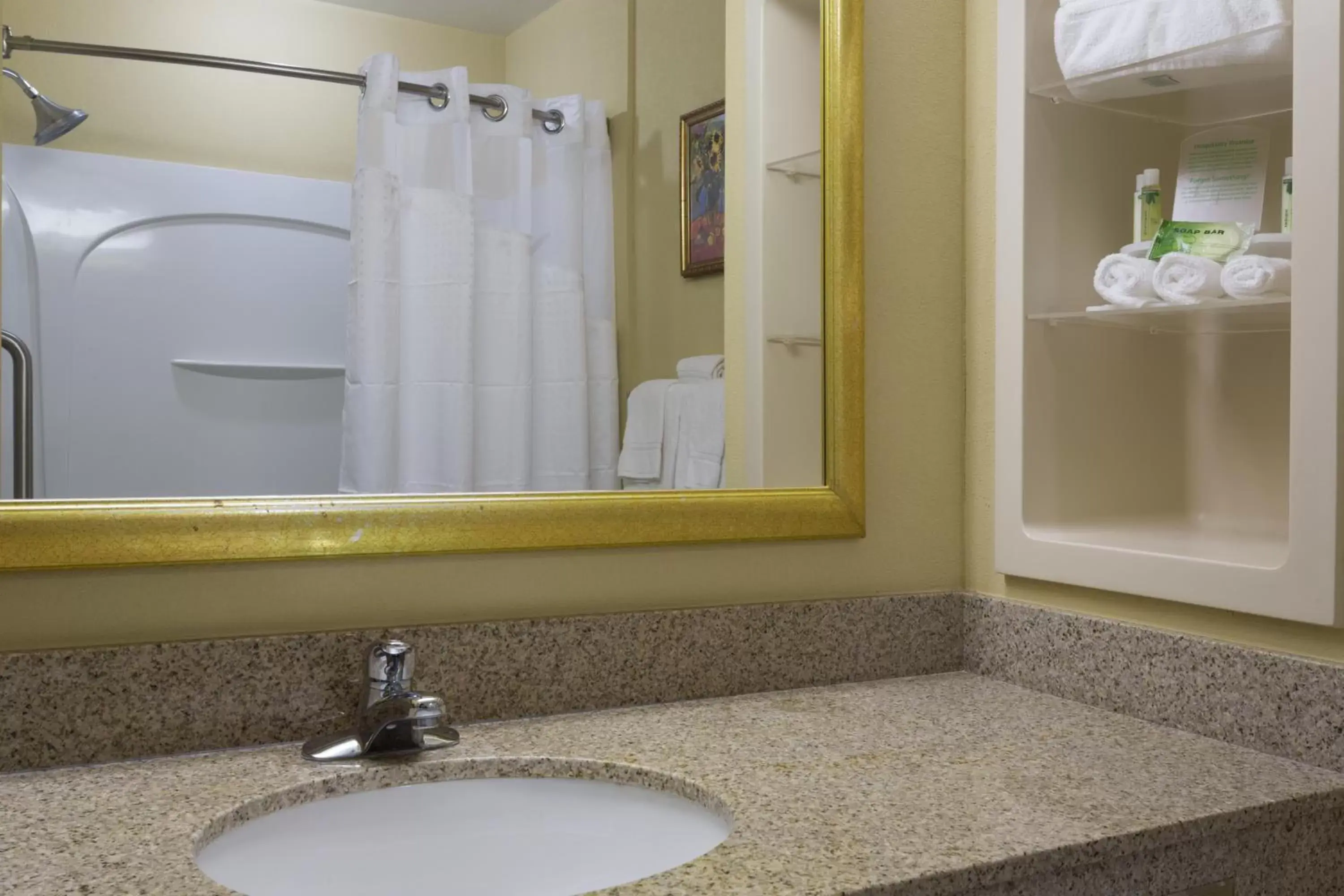 Bathroom in Holiday Inn Express & Suites Sebring, an IHG Hotel