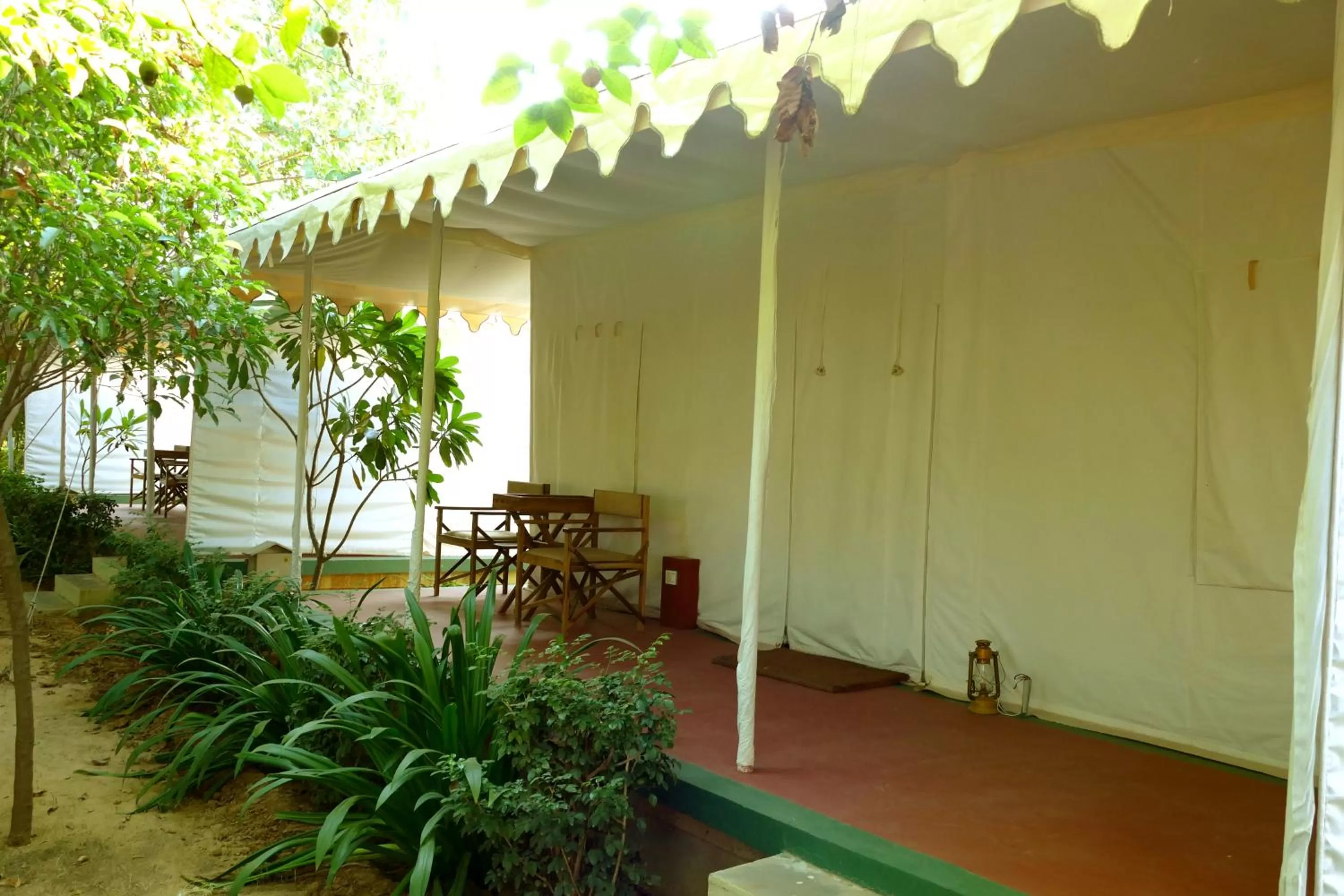 View (from property/room) in Madho Bagh