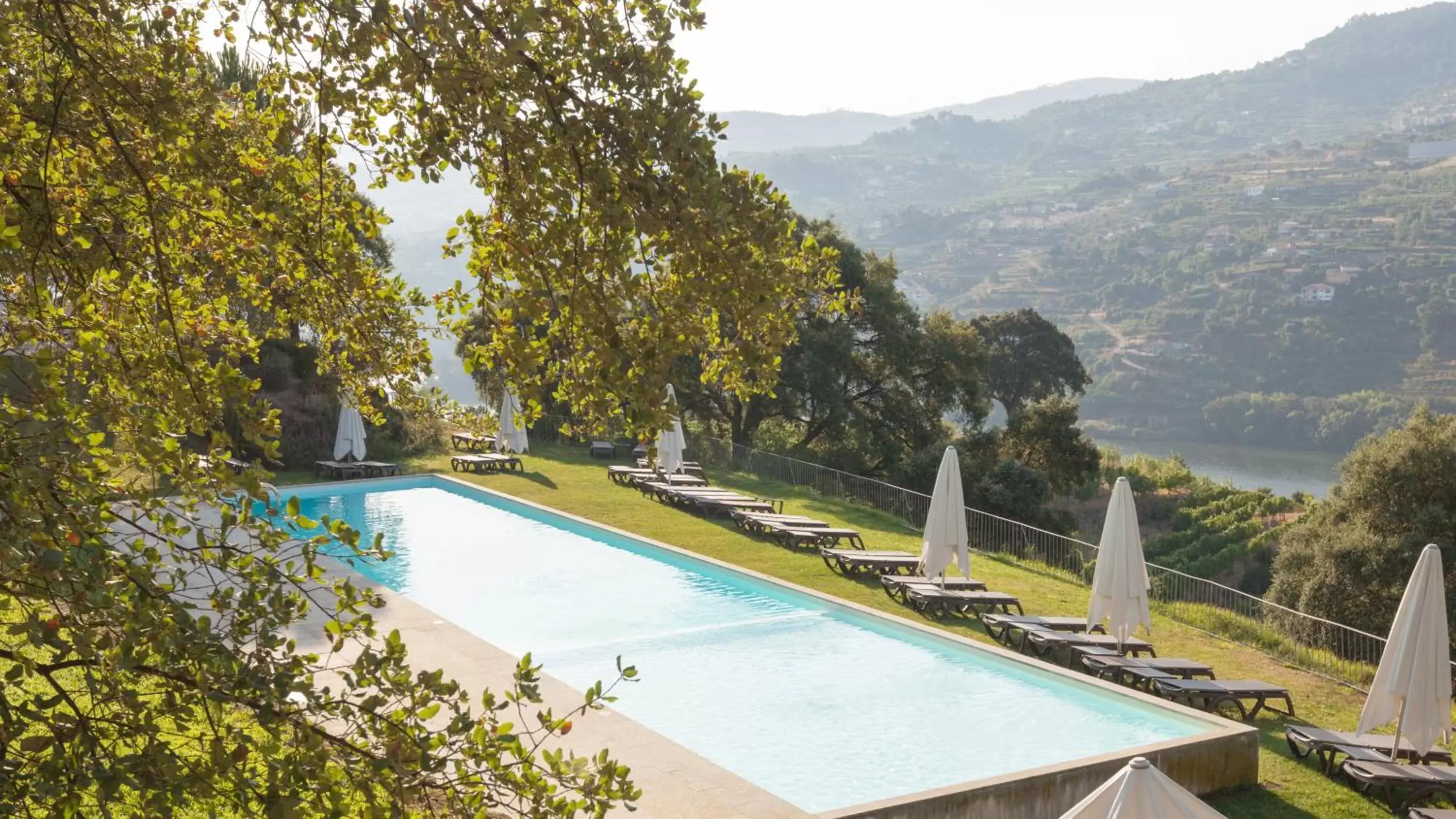 Garden, Swimming Pool in Douro Palace Hotel Resort & SPA