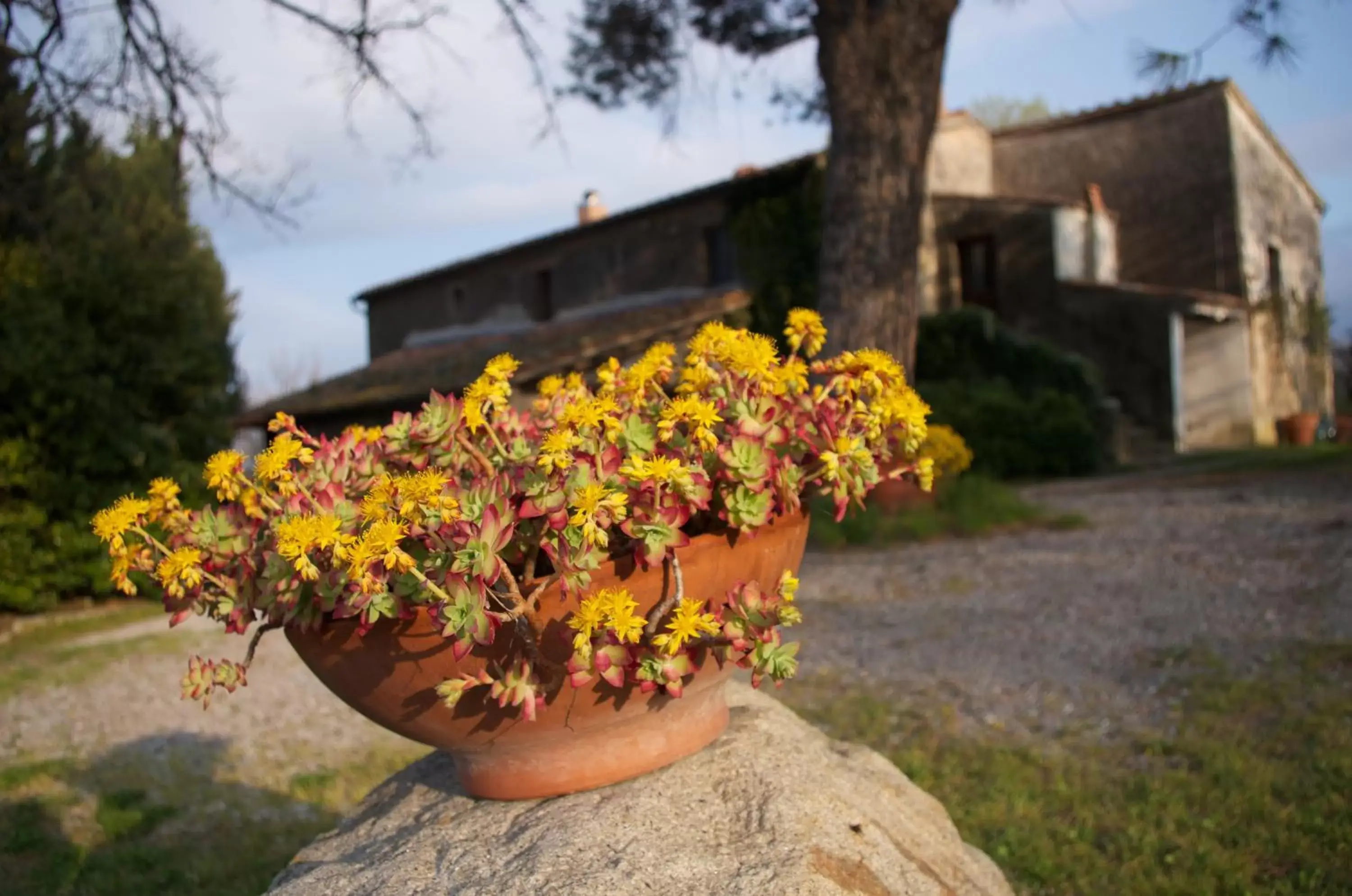 Property Building in Podere Pinzicalari