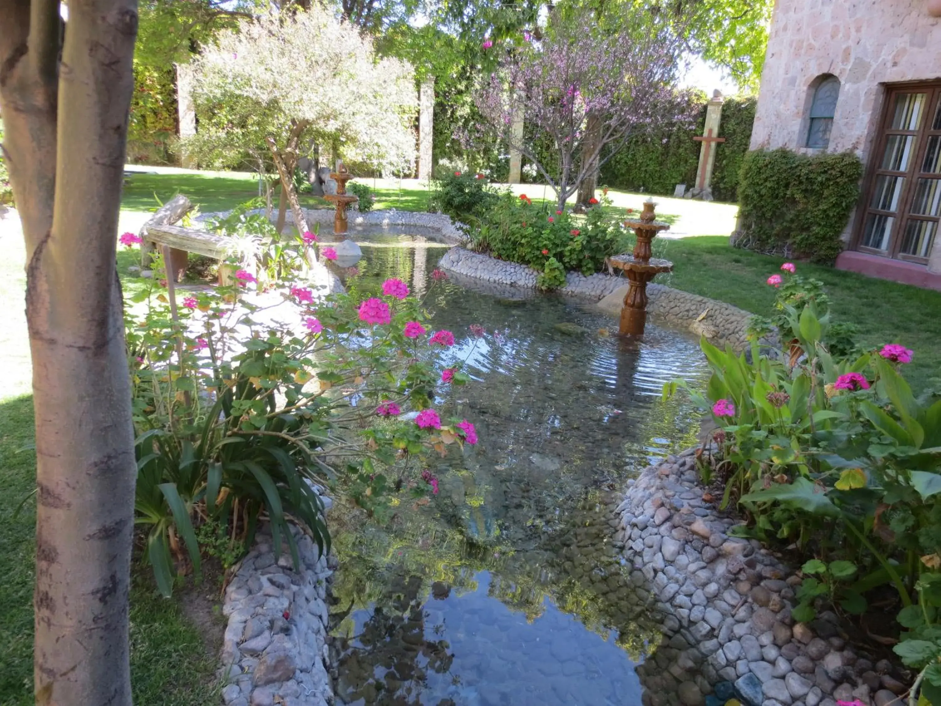 Garden in Gran Hotel Hacienda De La Noria