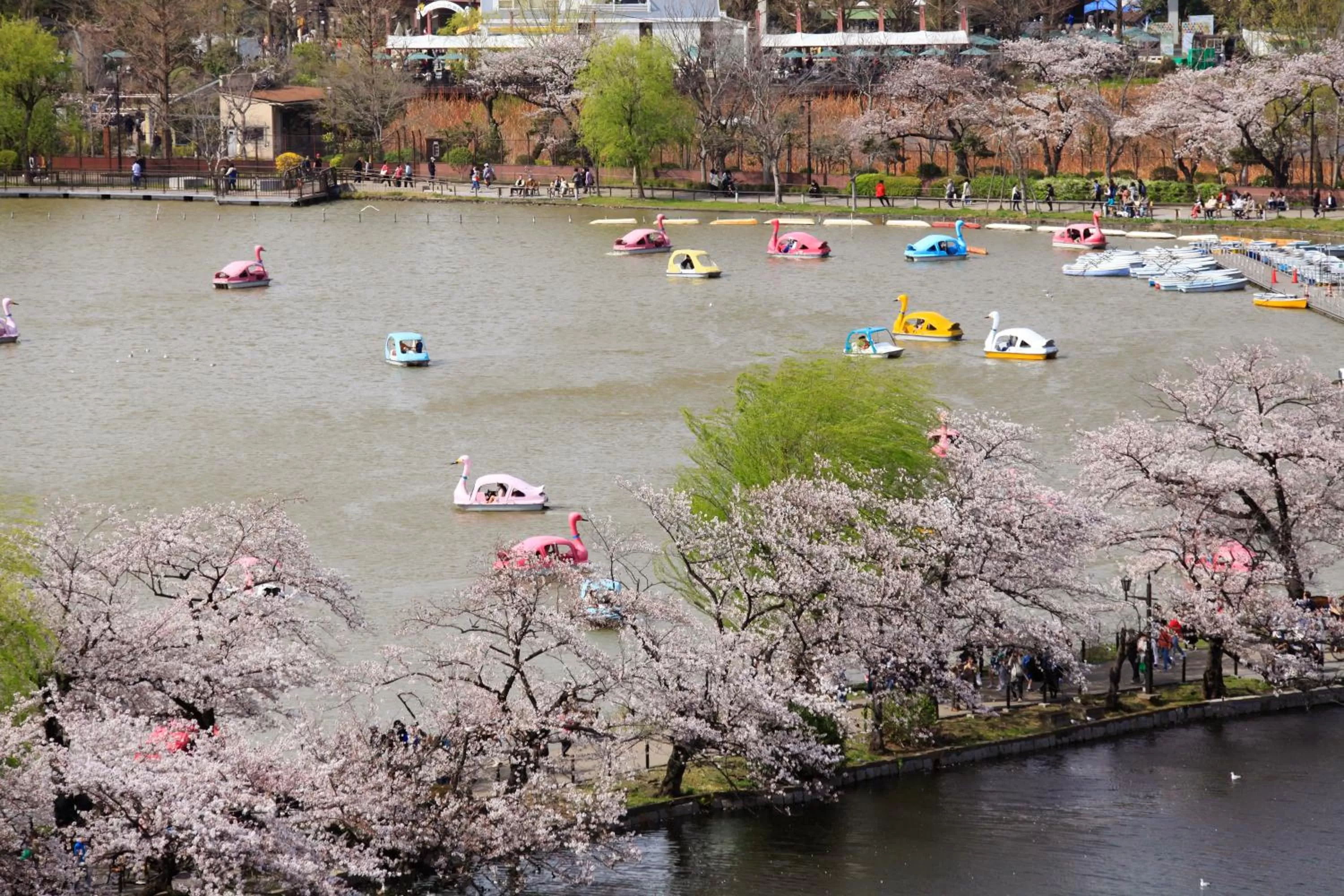 Off site in Centurion Hotel Ueno