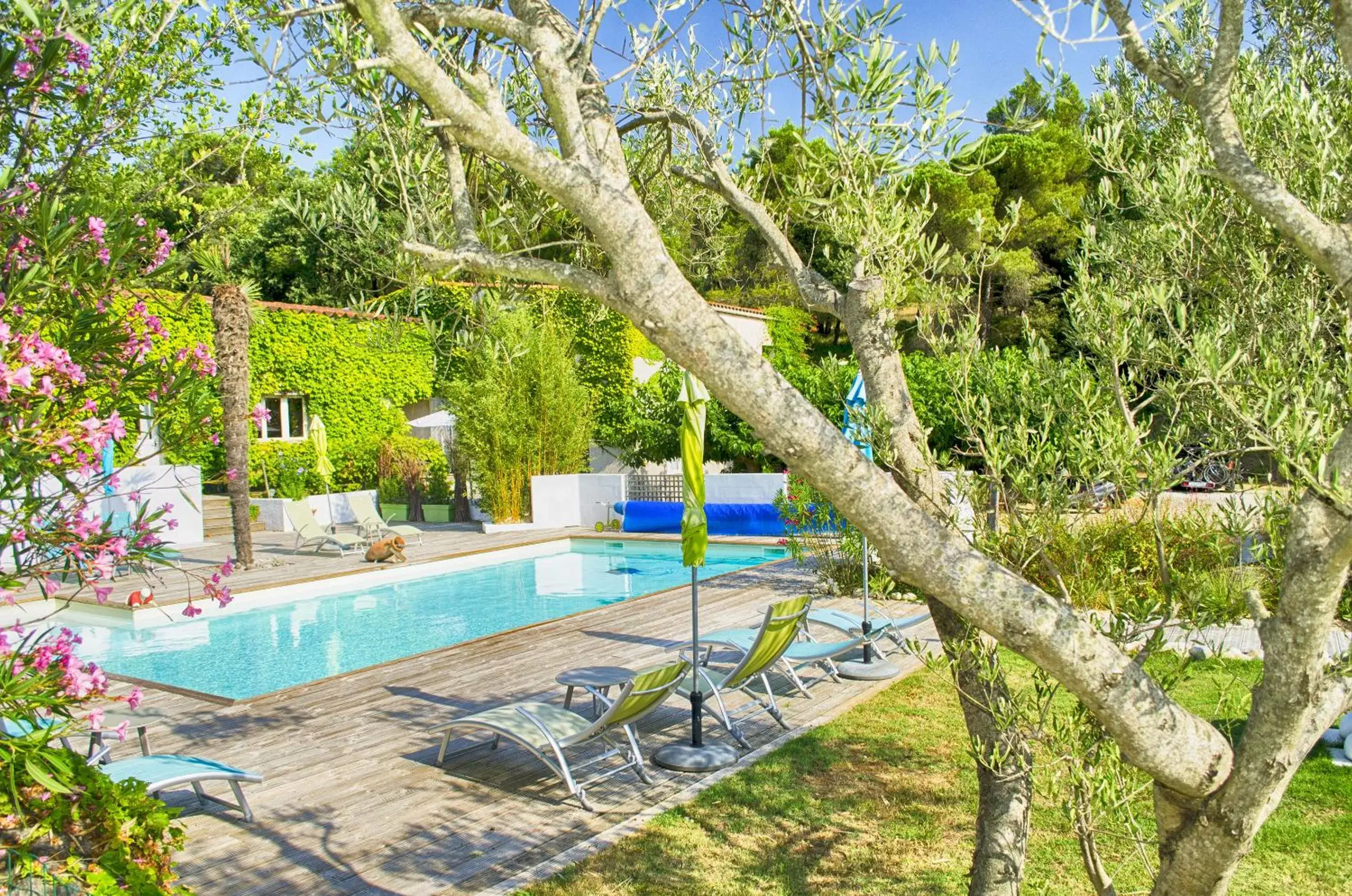 Swimming pool in Chambres d'hôtes & Spa le Relais de la Cavayere