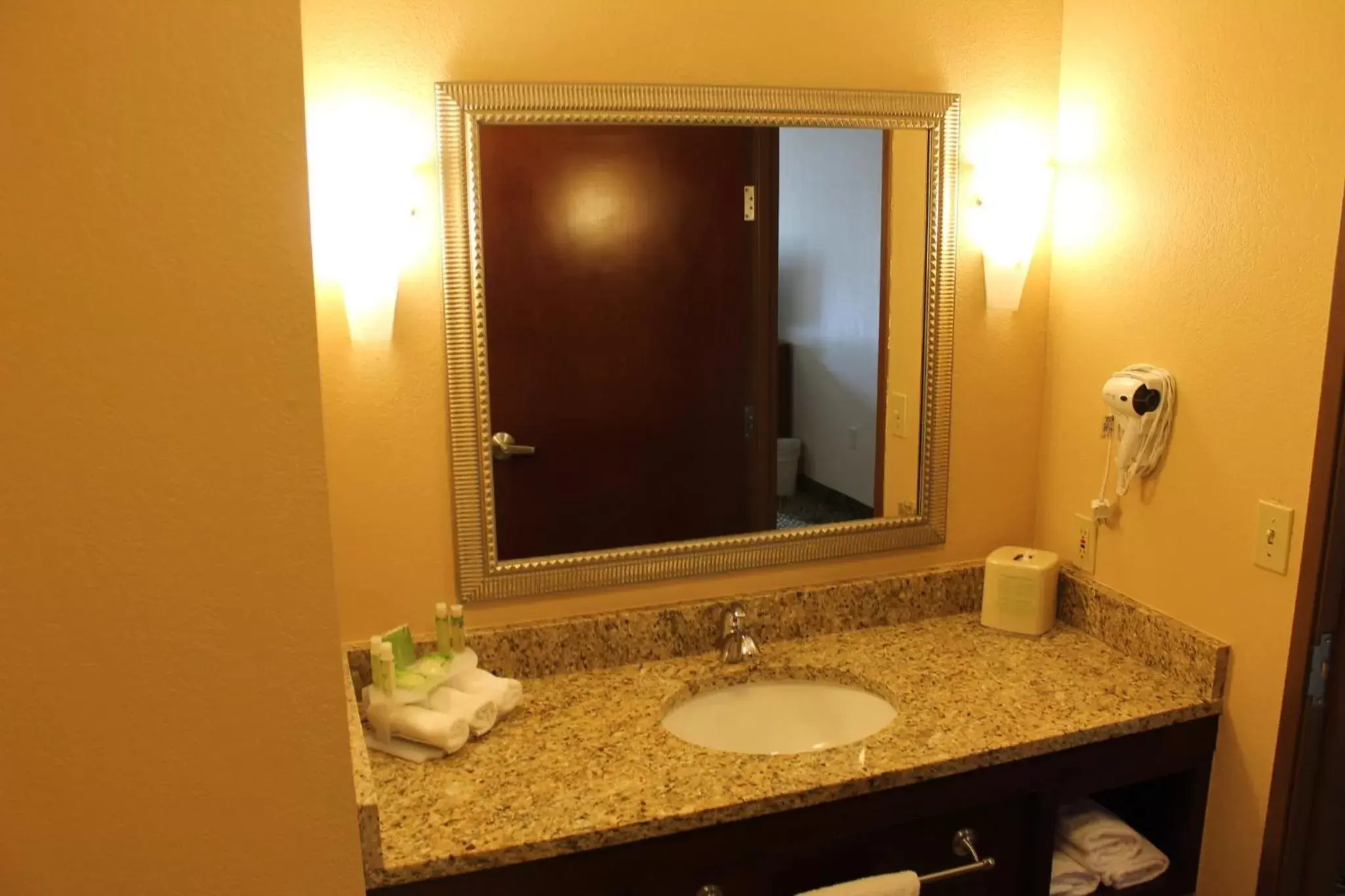 Bathroom in Holiday Inn Express Hotel & Suites Starkville, an IHG Hotel