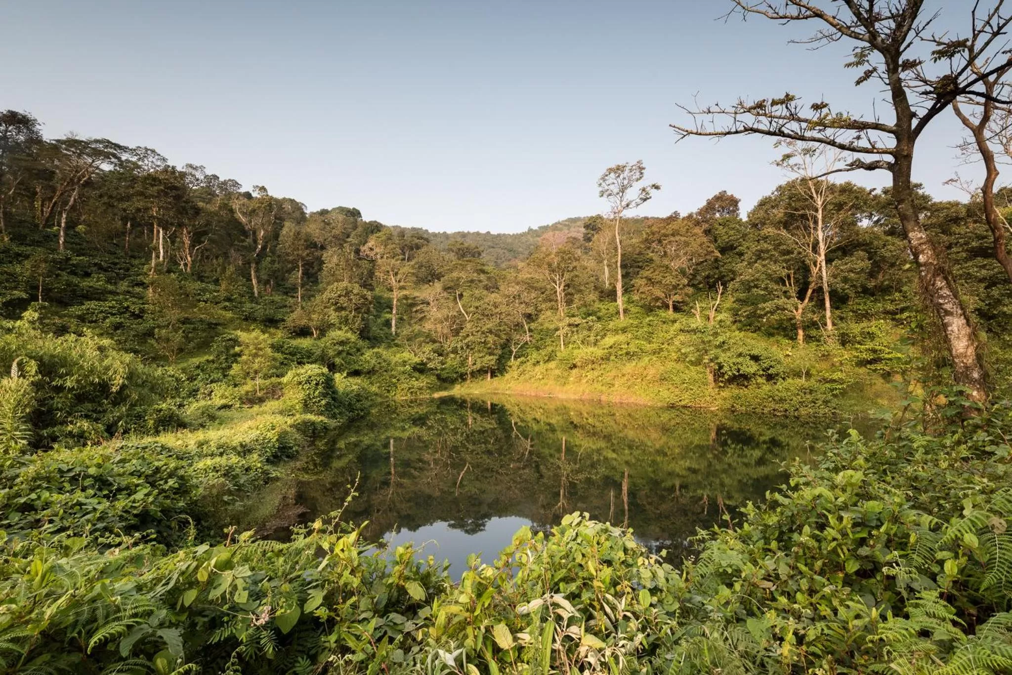 Natural landscape in Magnolia Estates & Resorts