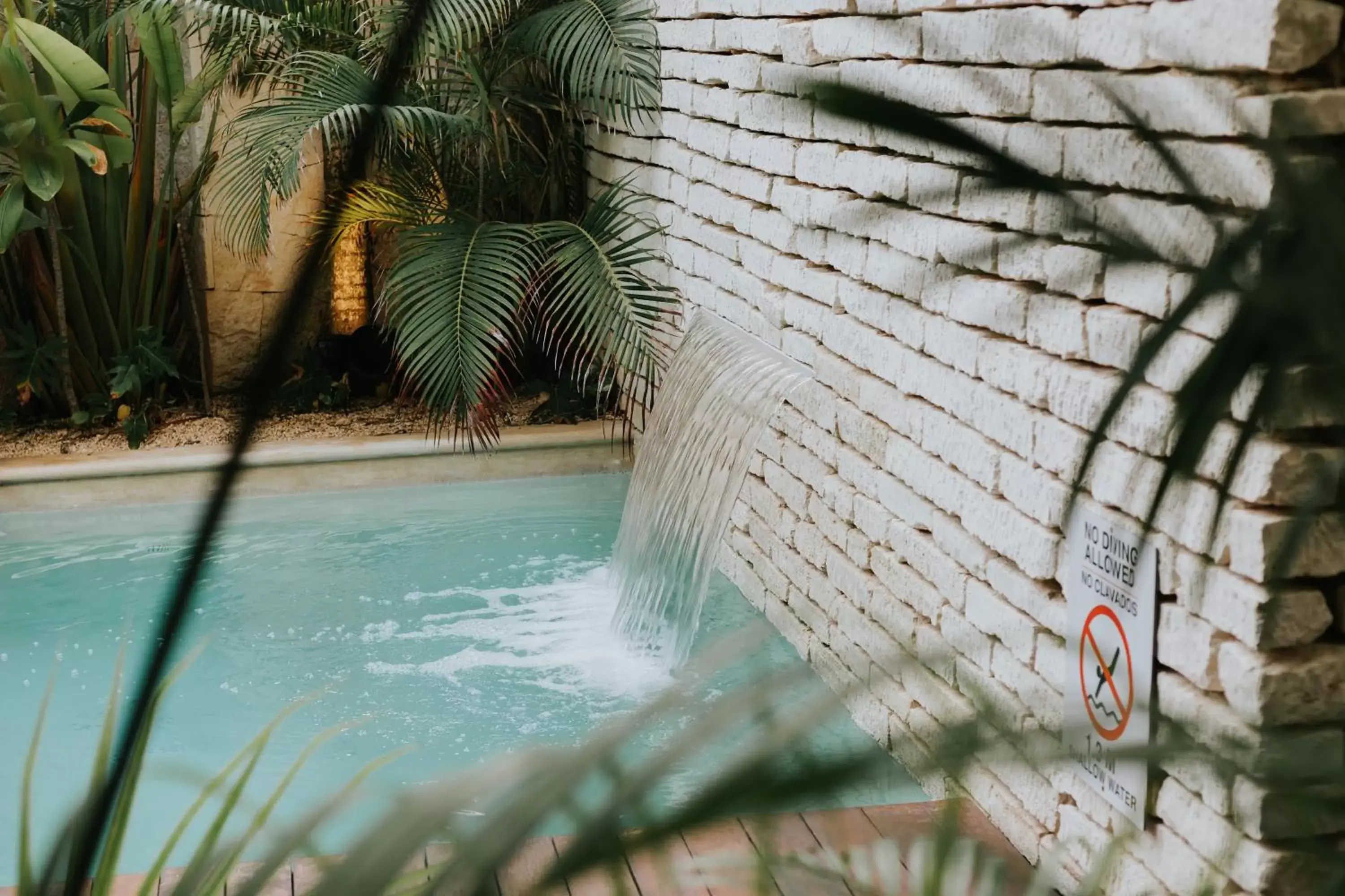 Pool view, Swimming Pool in The Strabon Tulum