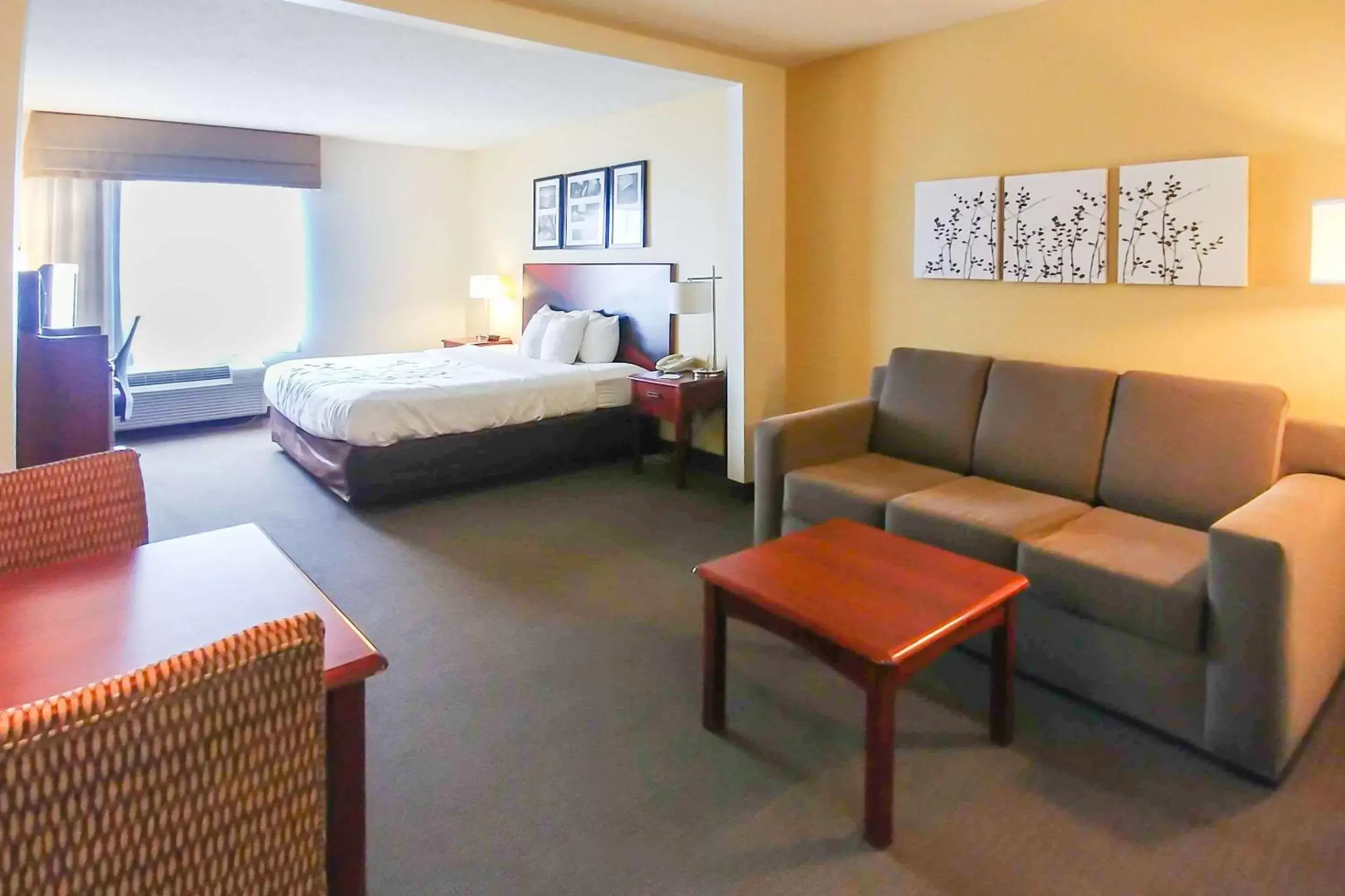 Photo of the whole room in Wingate by Wyndham Dublin Near Claytor Lake State Park