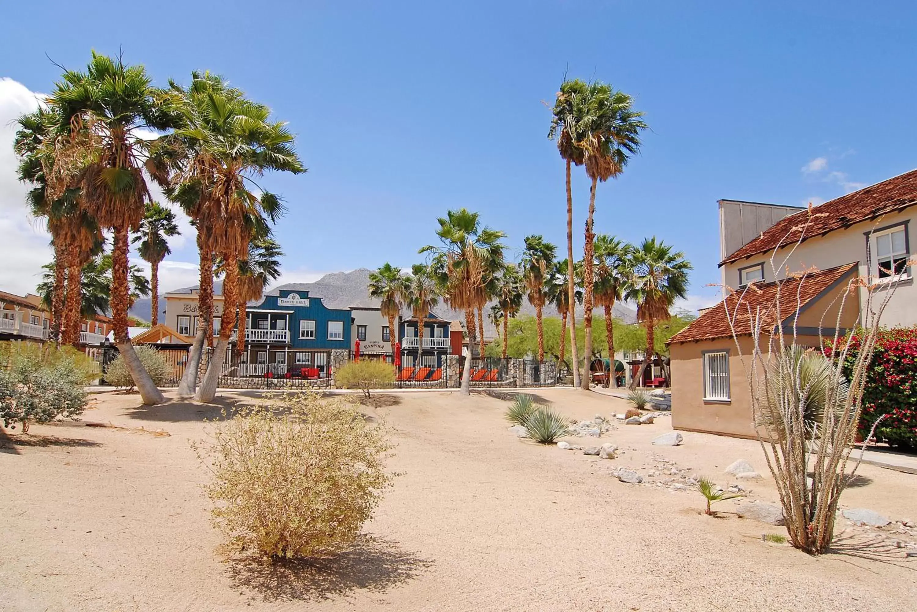 Natural landscape, Property Building in Palm Canyon Hotel and RV Resort