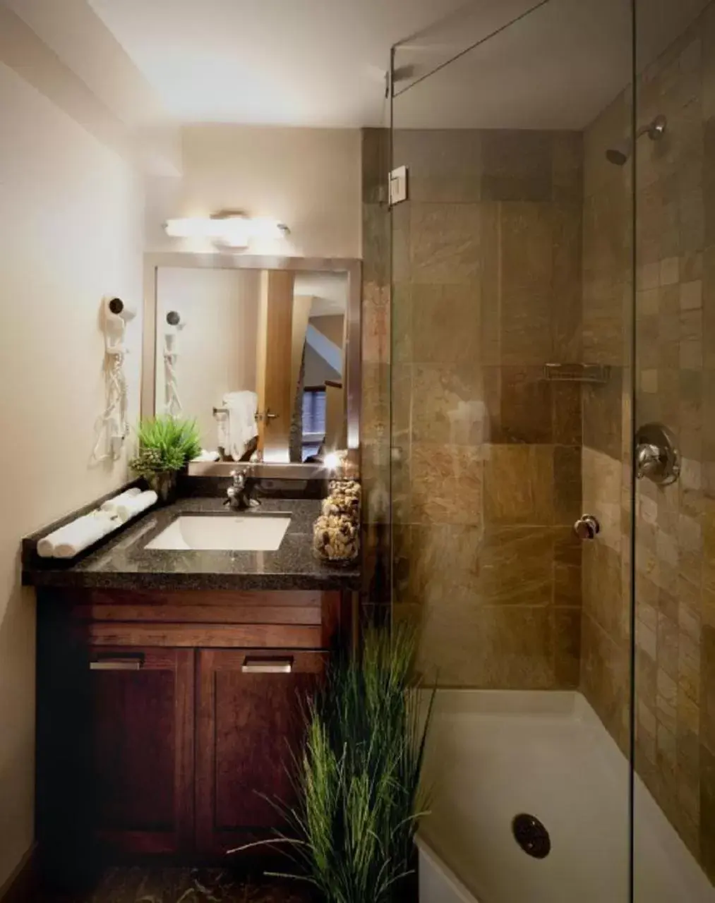 Shower, Bathroom in Executive Inn Whistler