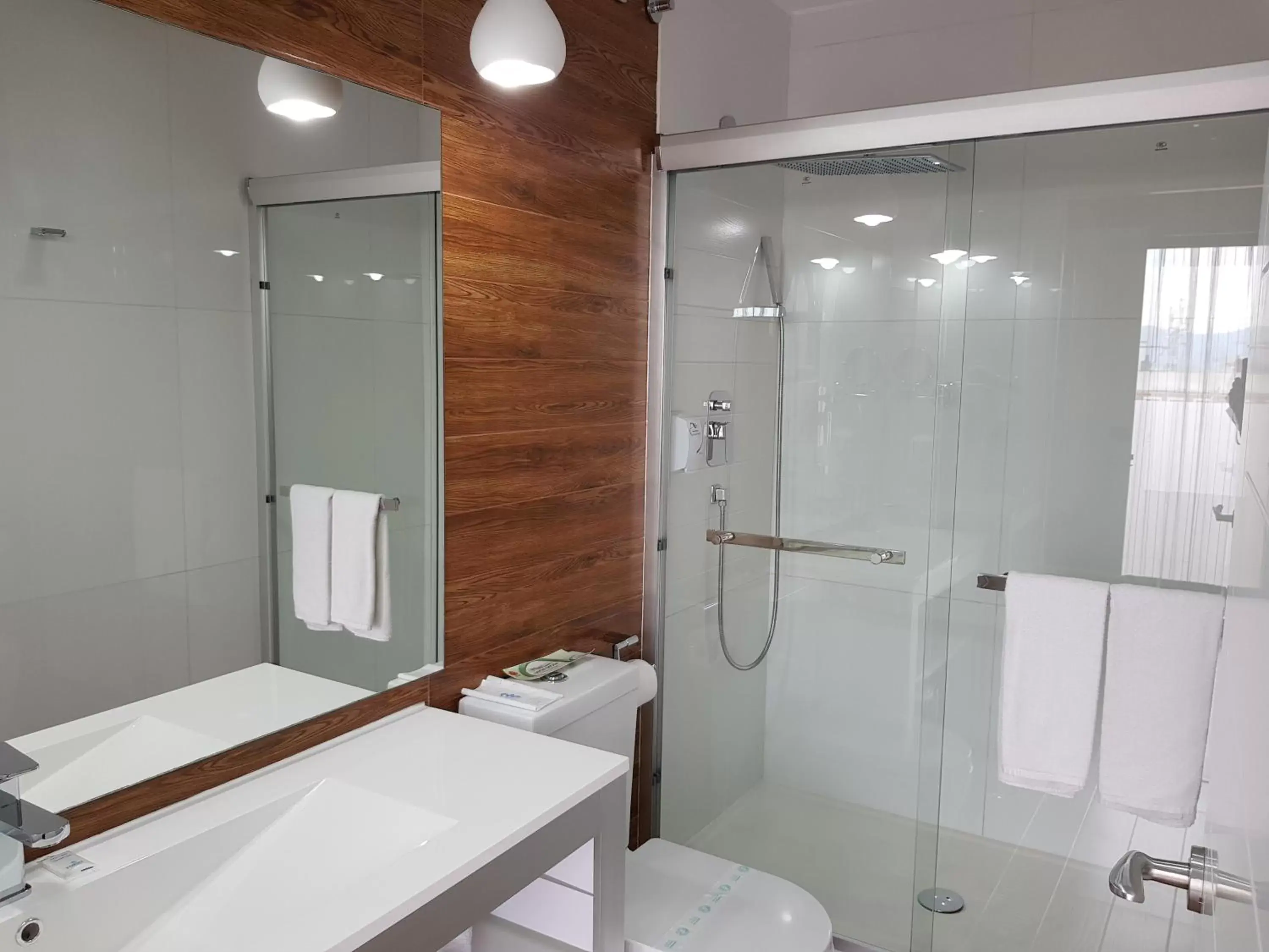 Shower, Bathroom in Hotel Art Santander