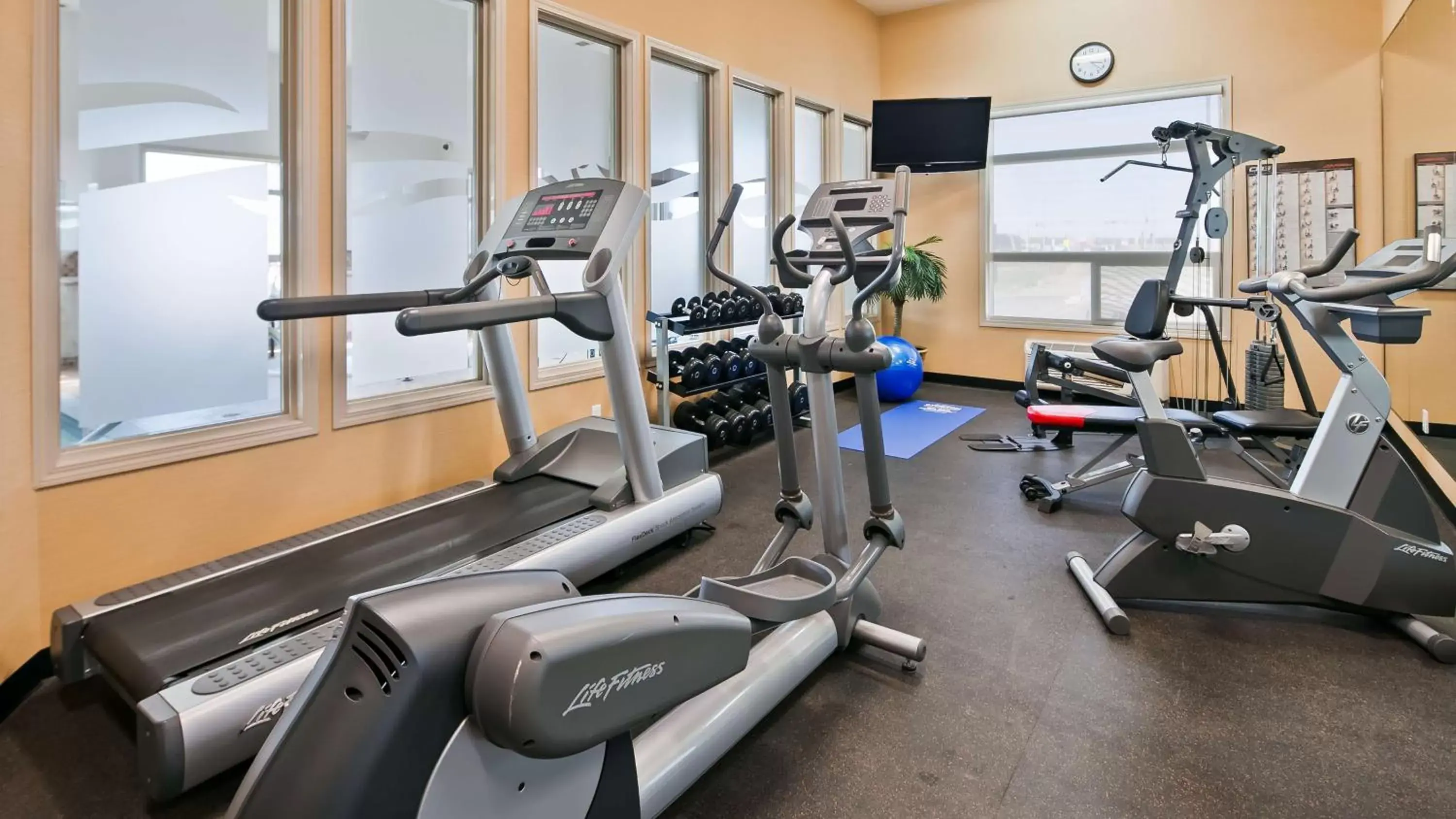 Fitness centre/facilities, Fitness Center/Facilities in Best Western Wainwright Inn & Suites