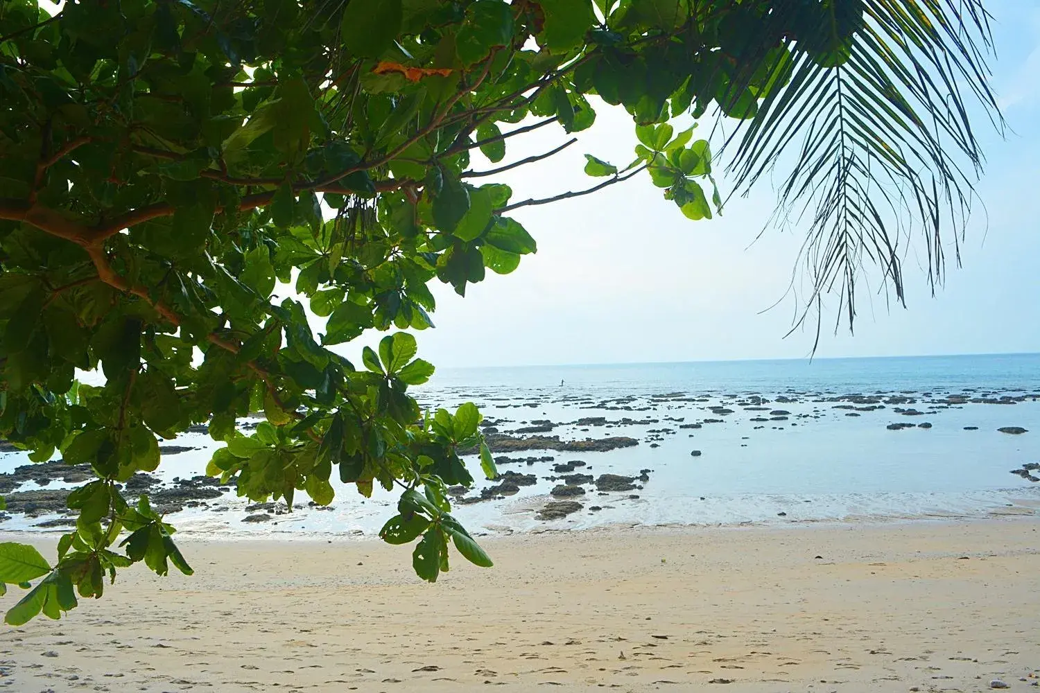 Beach in Lanta Family resort