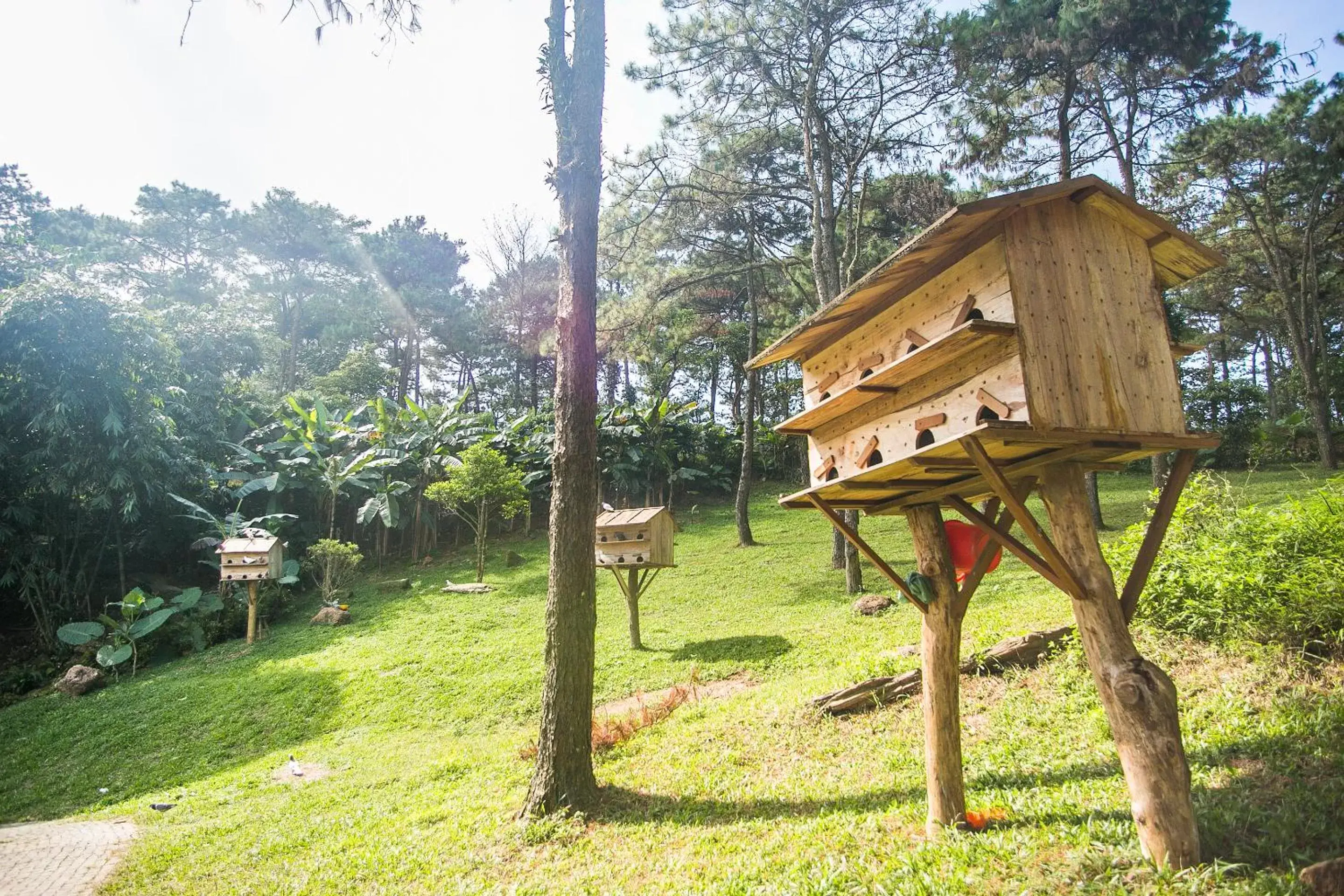 Garden in Melia Ba Vi Mountain Retreat