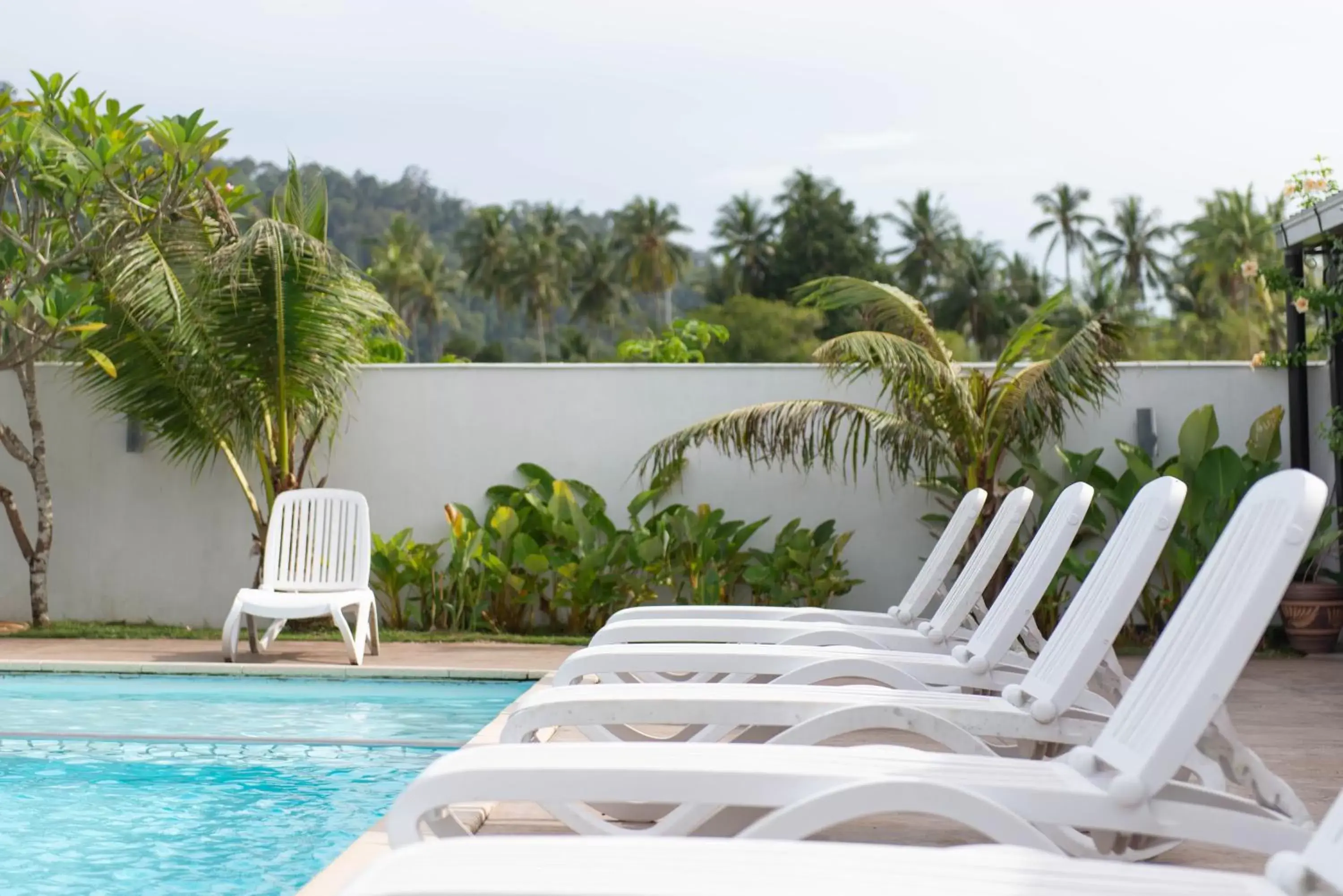 Garden view, Swimming Pool in Riverra Inn Langkawi