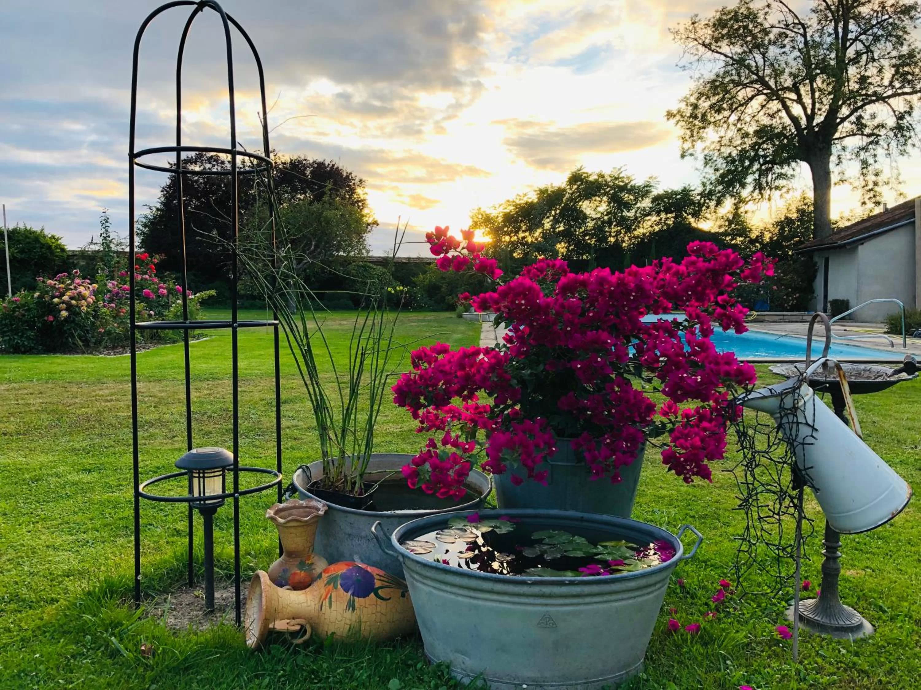 La plaine de l'Angelus