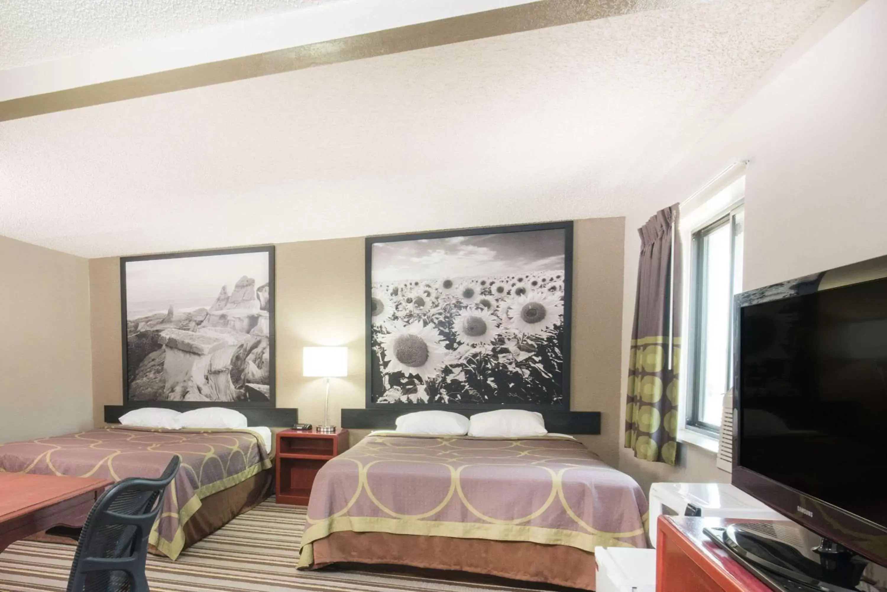 Photo of the whole room, Bed in Super 8 by Wyndham Jamestown