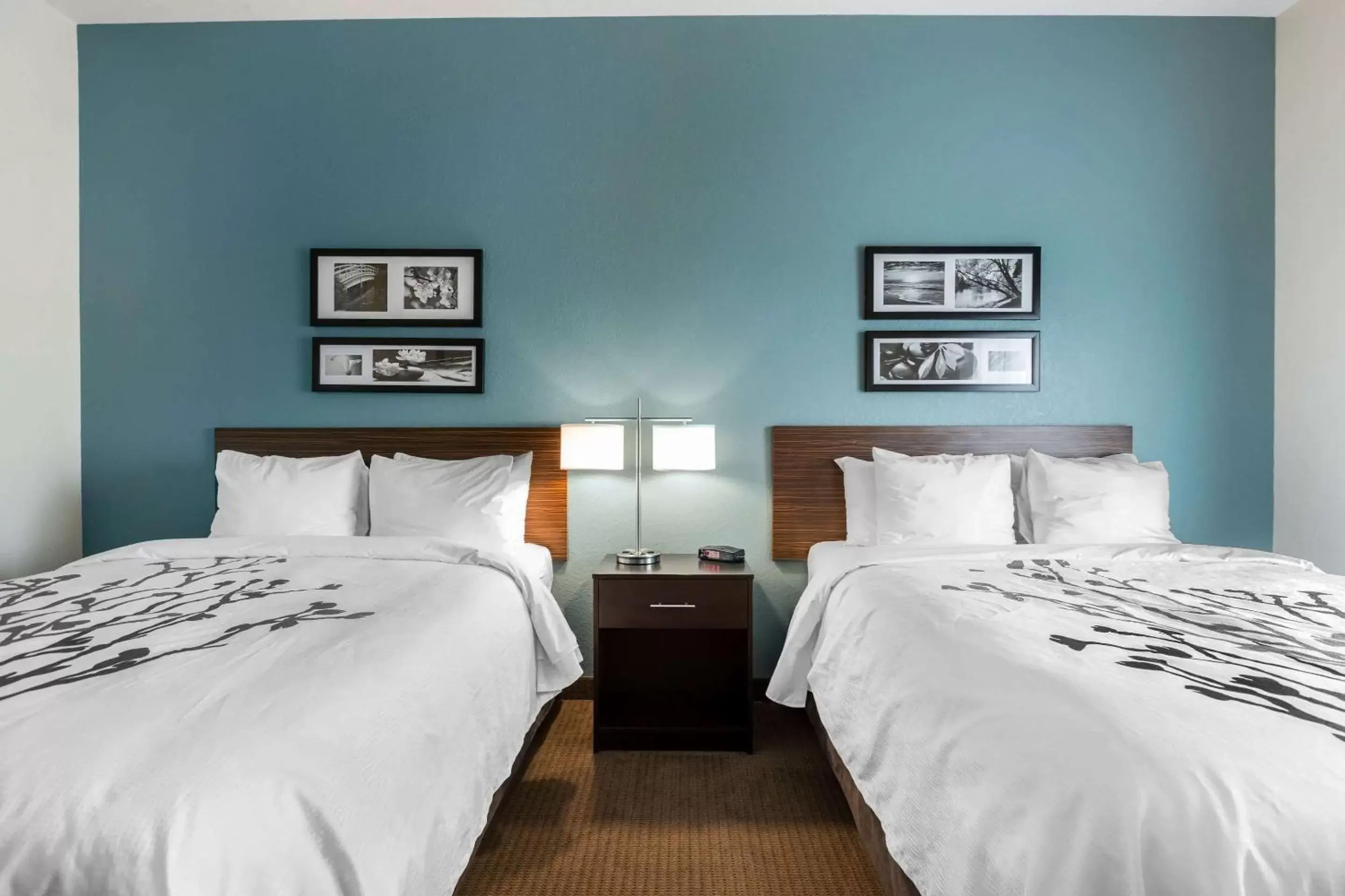 Queen Room with Two Queen Beds - Accessible/Non-Smoking  in Sleep Inn & Suites West Des Moines near Jordan Creek
