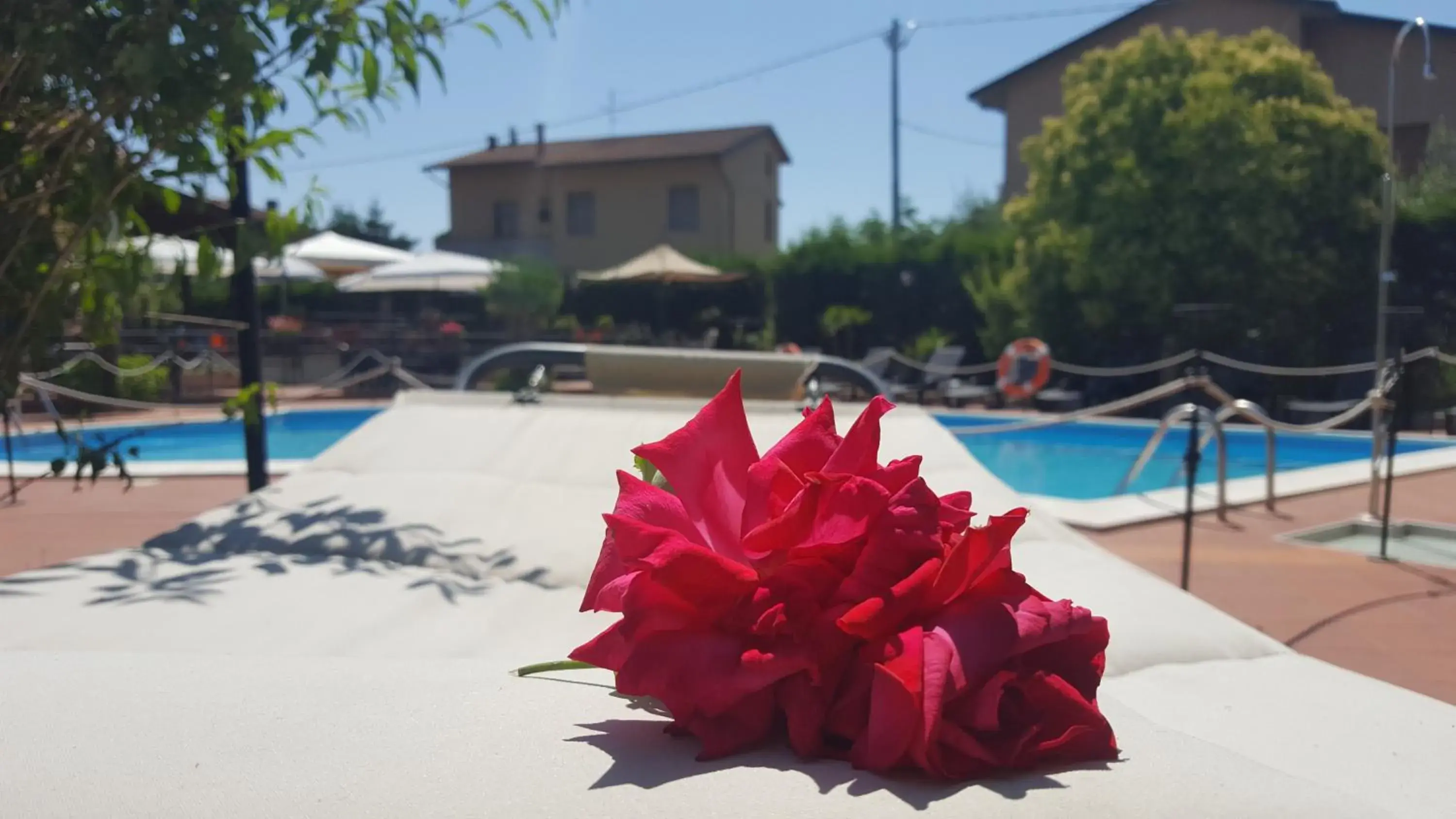 Patio, Swimming Pool in Hotel Duca Della Corgna