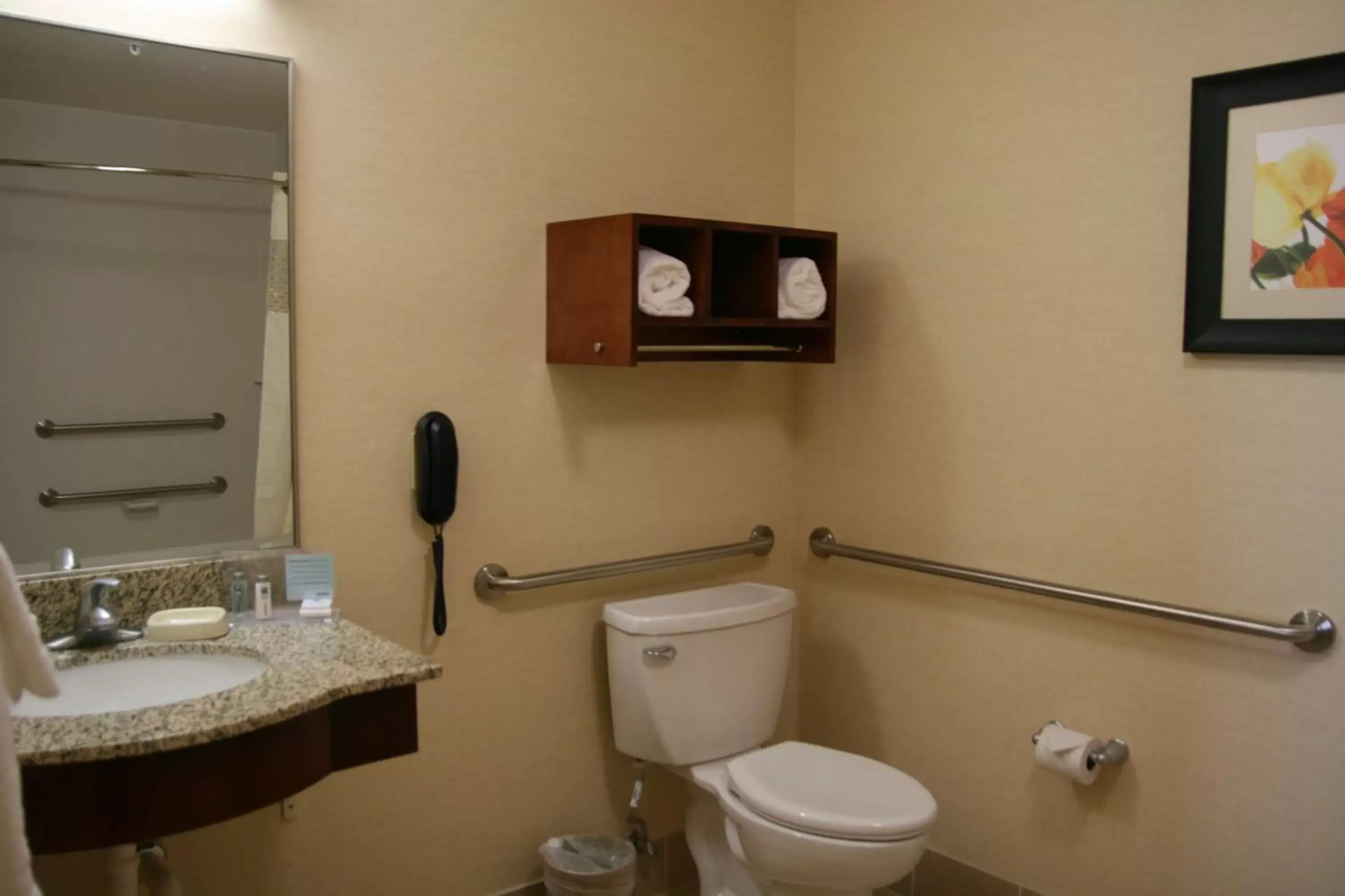 Bathroom in Hampton Inn & Suites Ridgecrest