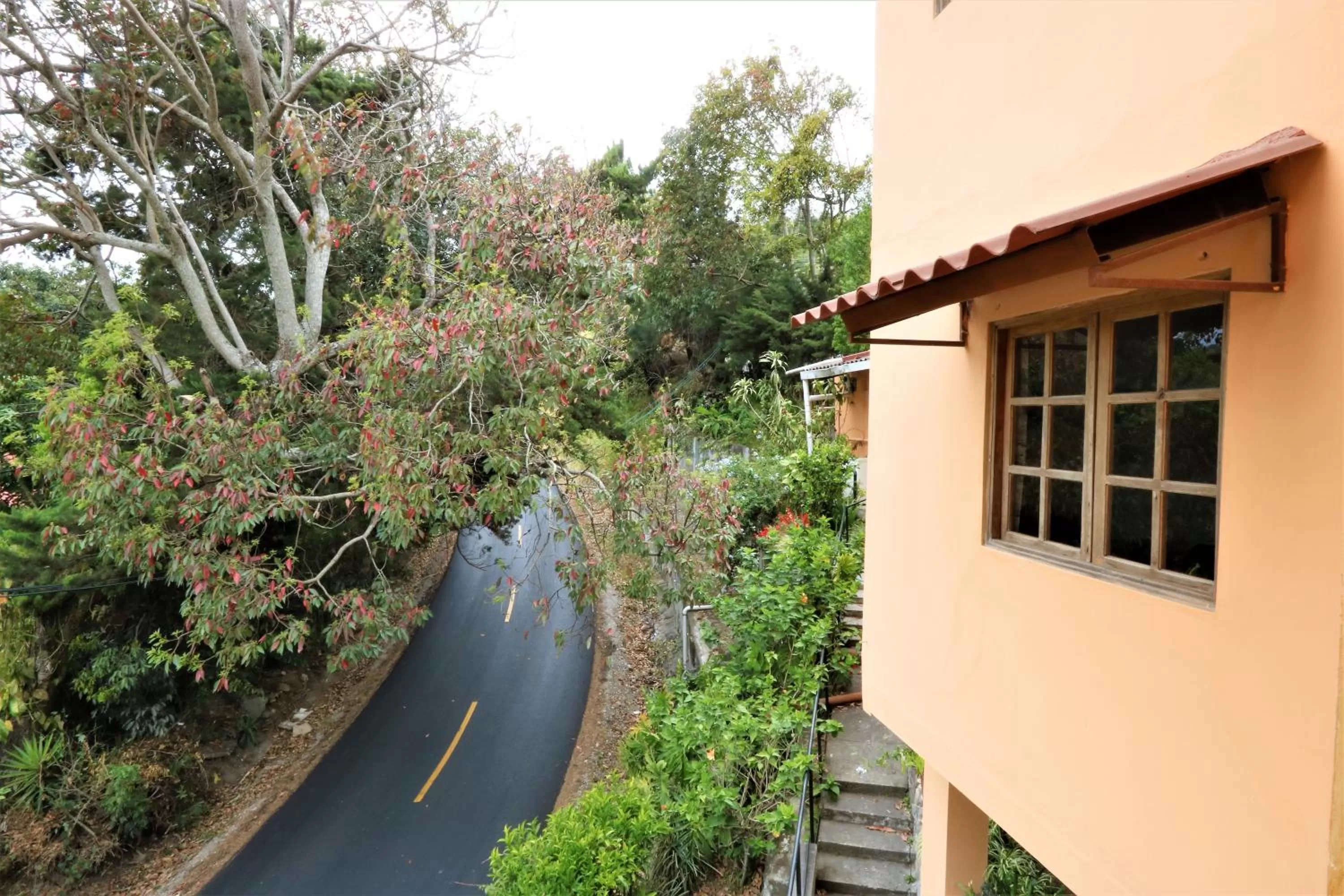 Street view in Aparthotel Los Pinos