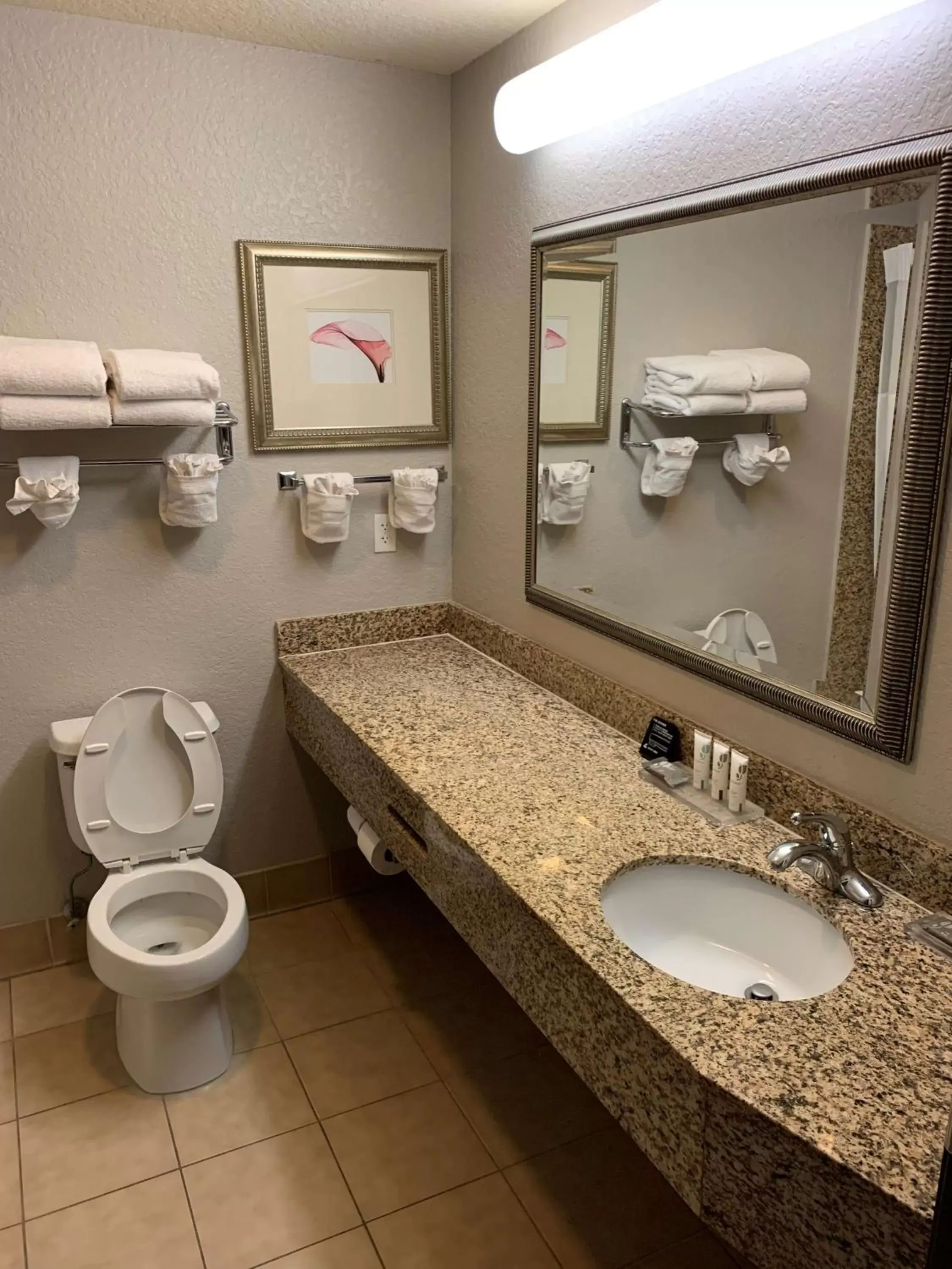 Bathroom in Country Inn & Suites by Radisson, Jacksonville West, FL