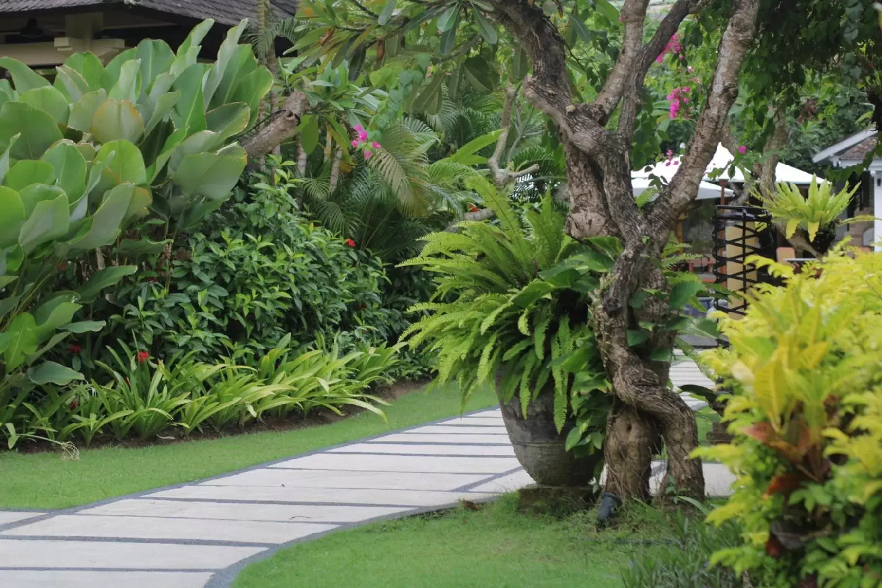 Garden in Sagara Villas and Suites Sanur