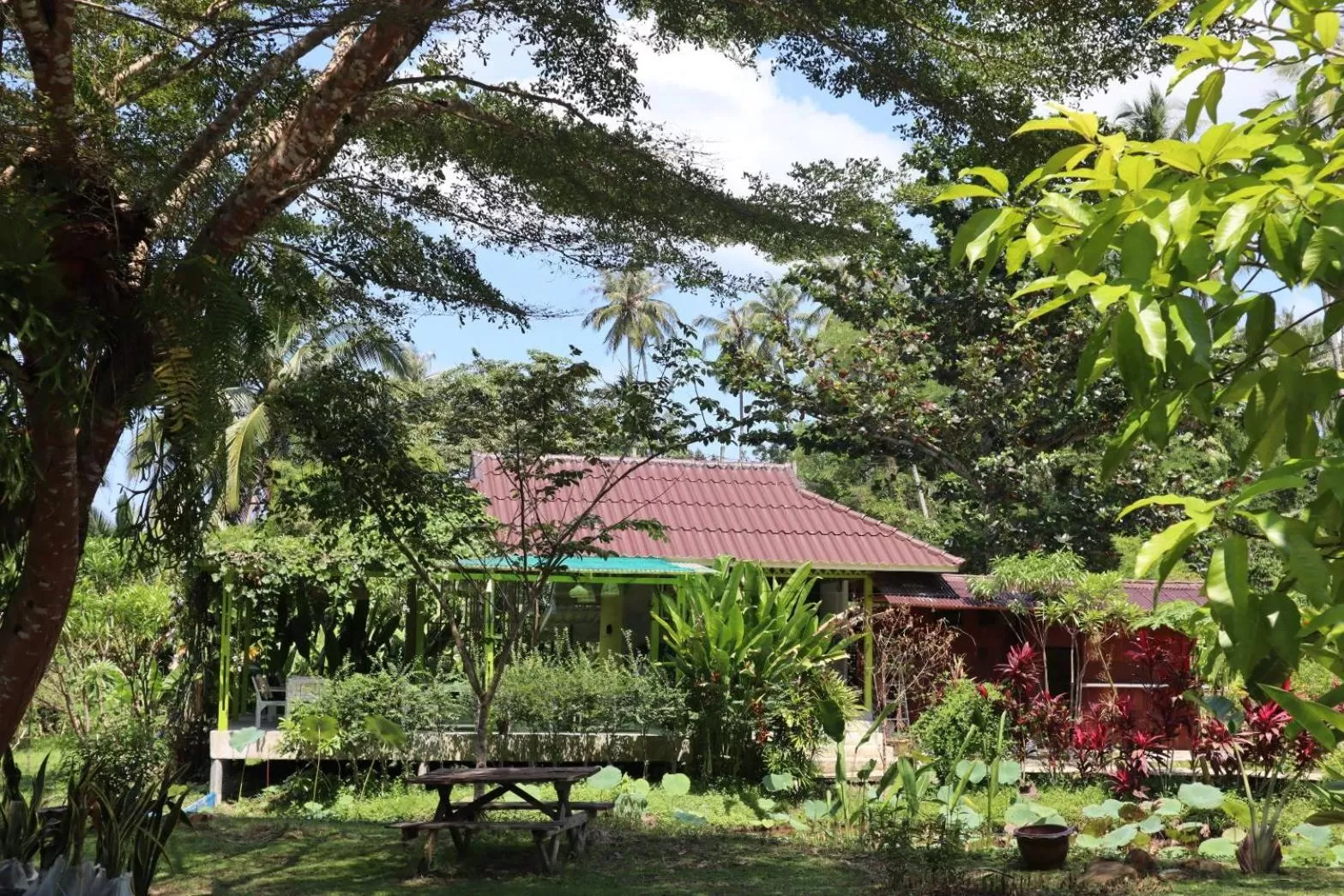 Garden, Property Building in Baan Bua Cottage SHA EXTRA PLUS B5510