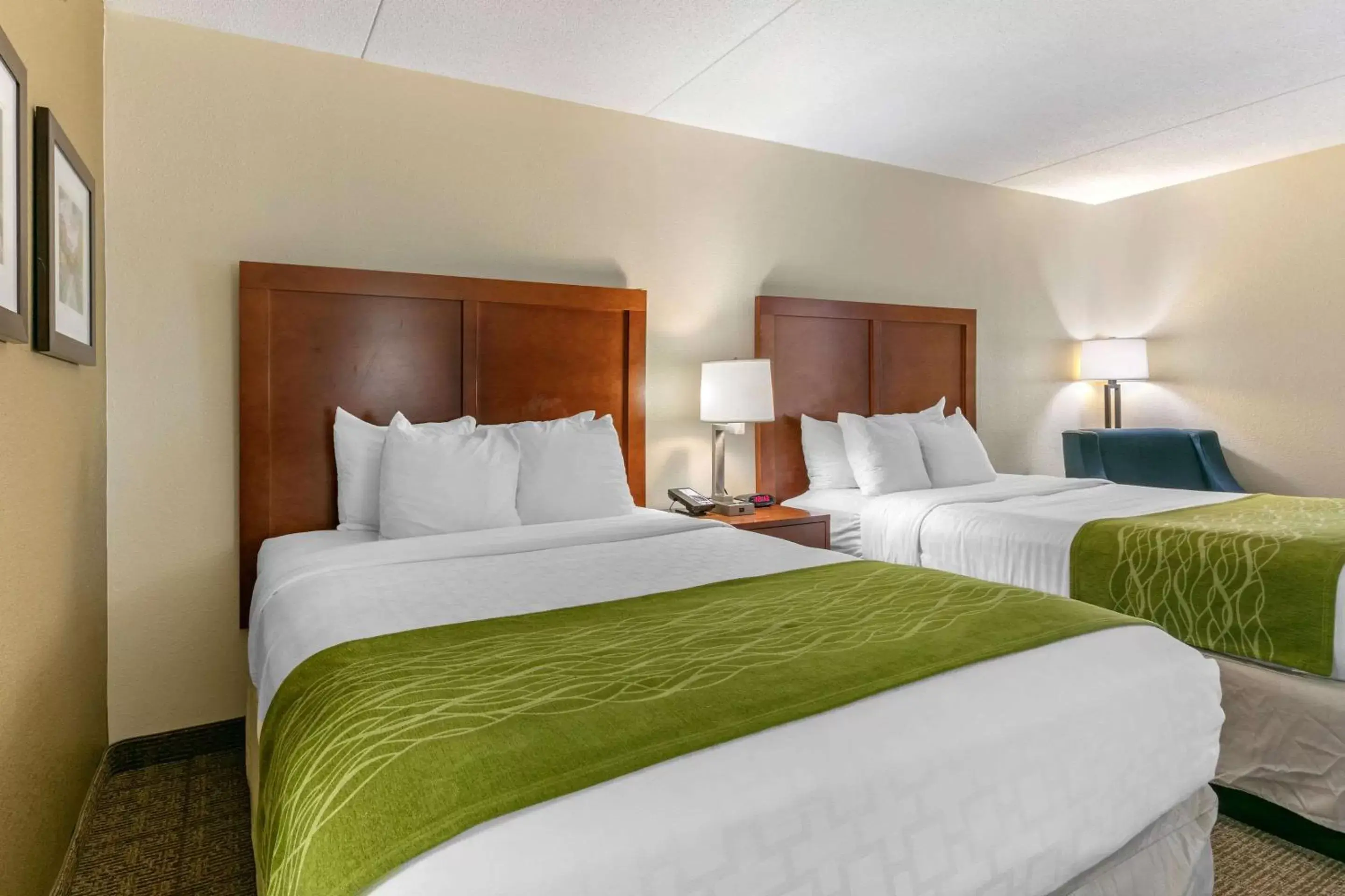 Queen Room with Two Queen Beds - Non-Smoking in Comfort Inn Chattanooga Downtown Southside Queen Room with Two Queen Beds - Non-Smoking in Comfort Inn Chattanooga Downtown Southside