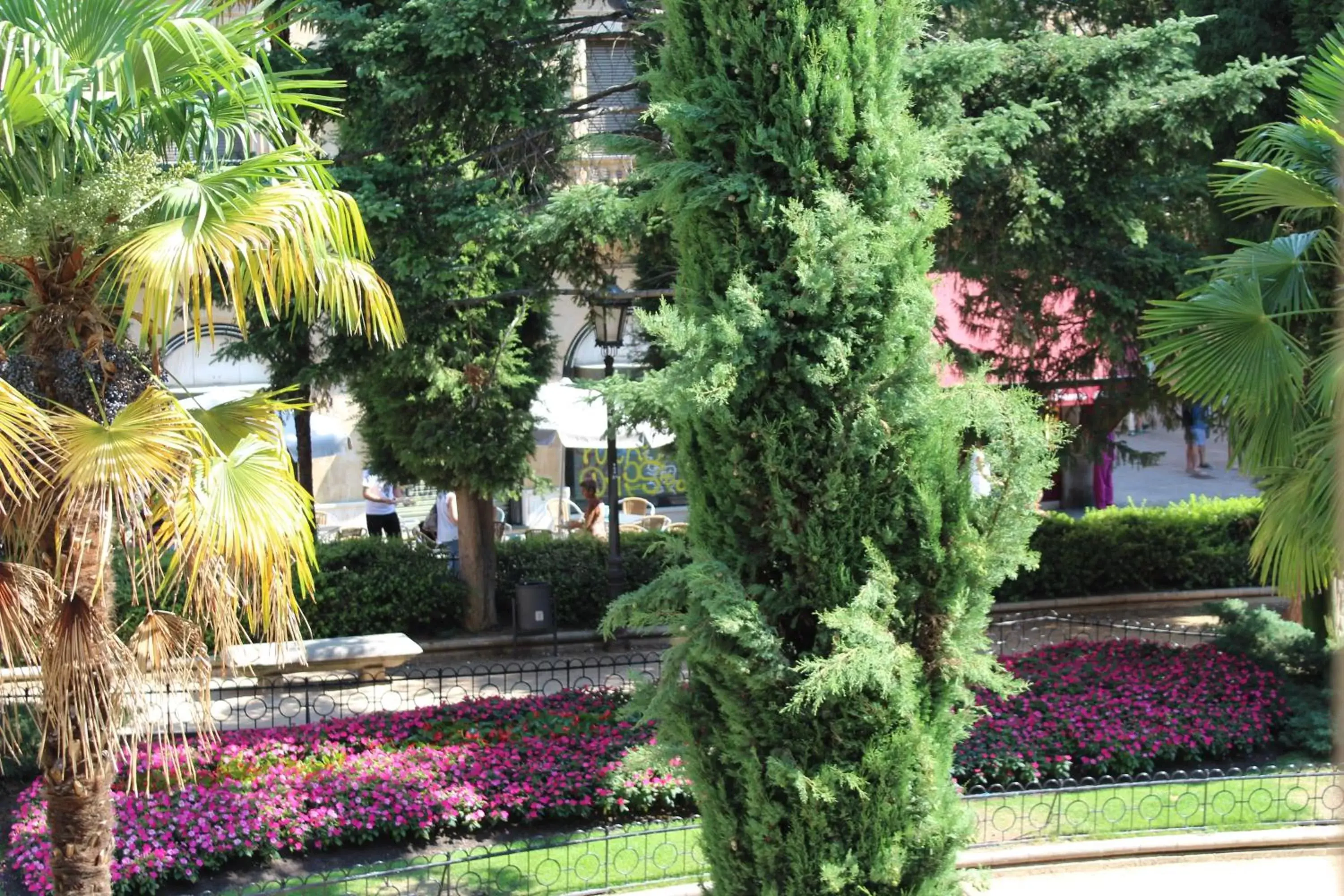 Garden in Salamanca Suites Libertad