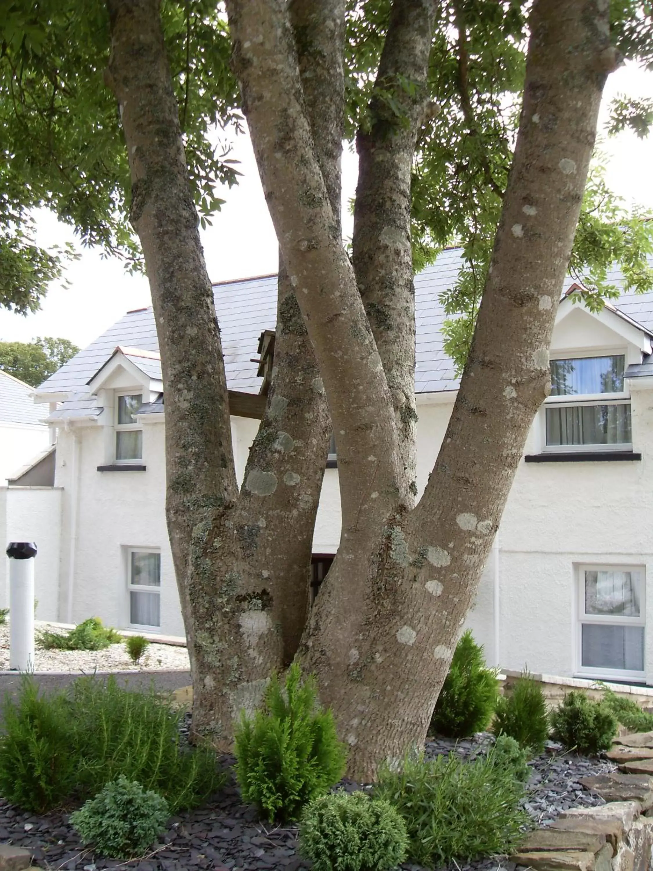 Garden, Property Building in Beggars Reach Hotel