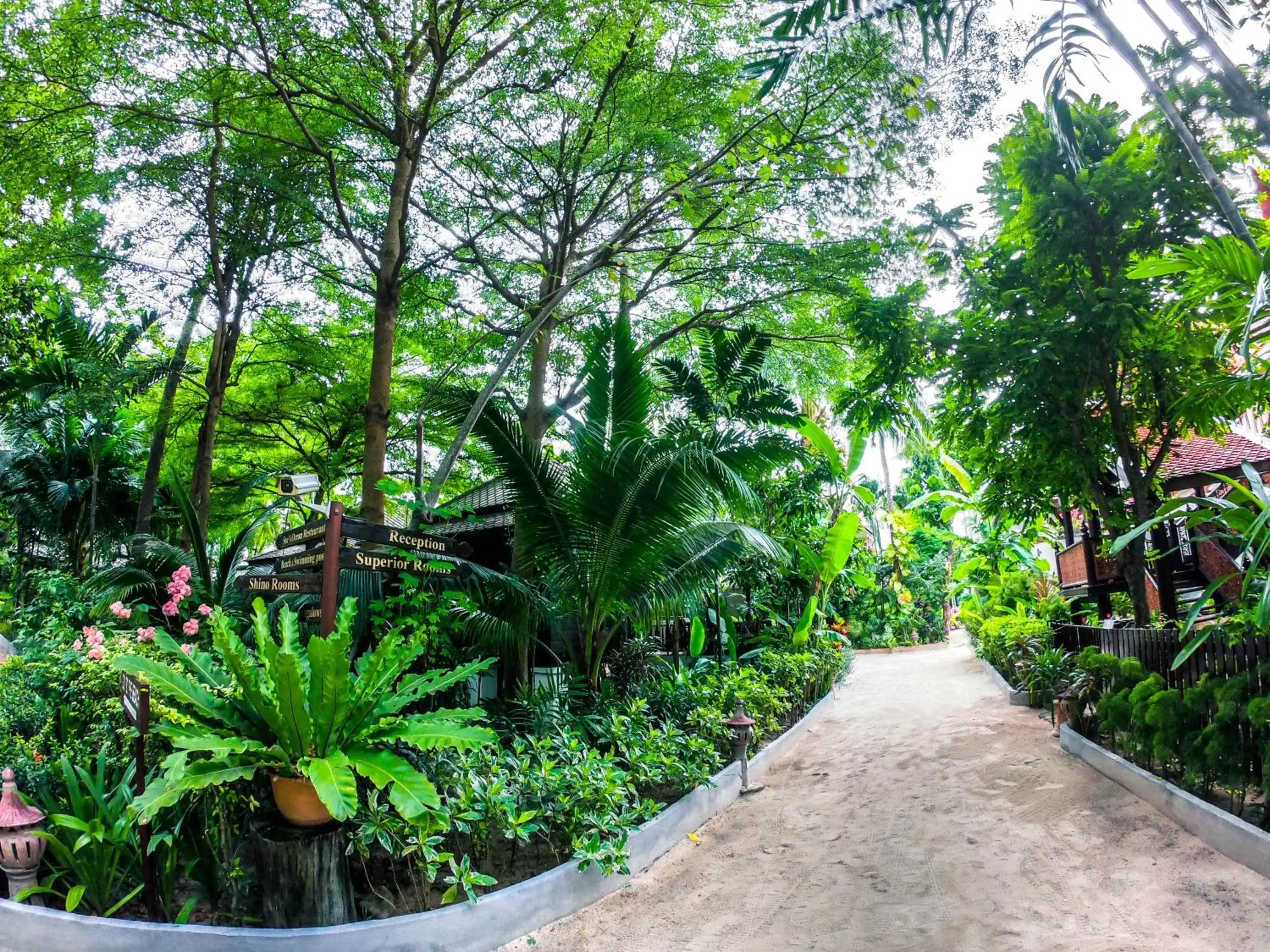 Facade/entrance, Garden in Chaweng Garden Beach Resort - SHA Plus