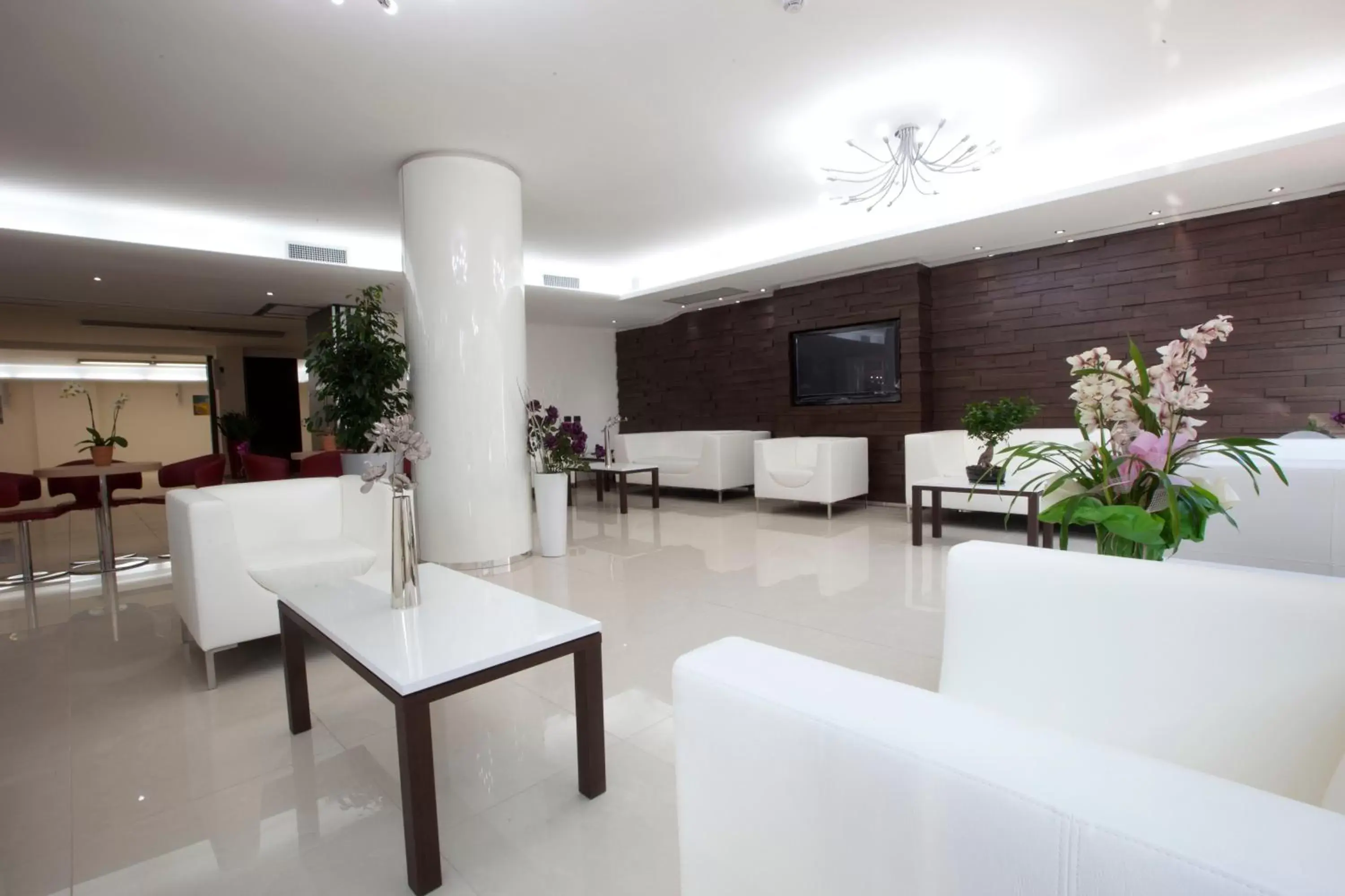Lobby or reception, Lobby/Reception in Hotel Eridano
