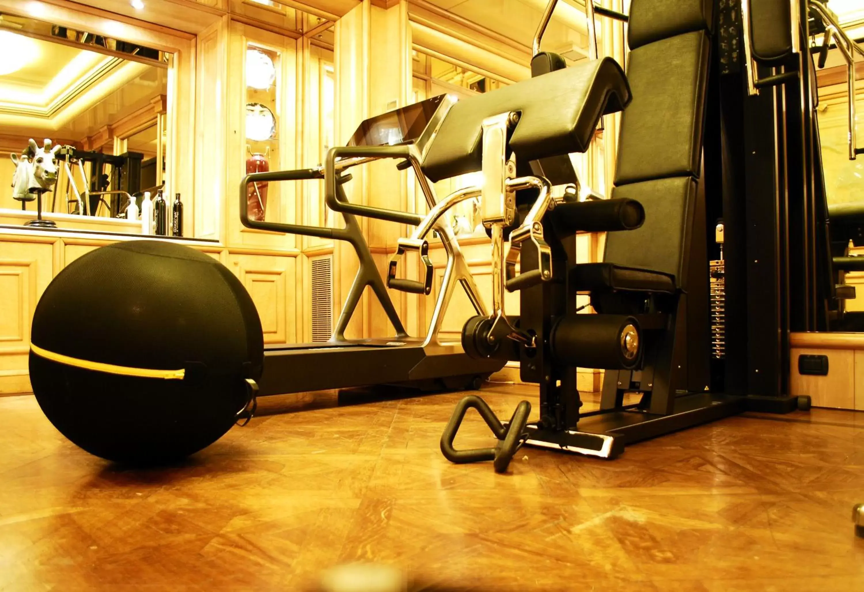 Fitness centre/facilities, Fitness Center/Facilities in Hotel Valadier