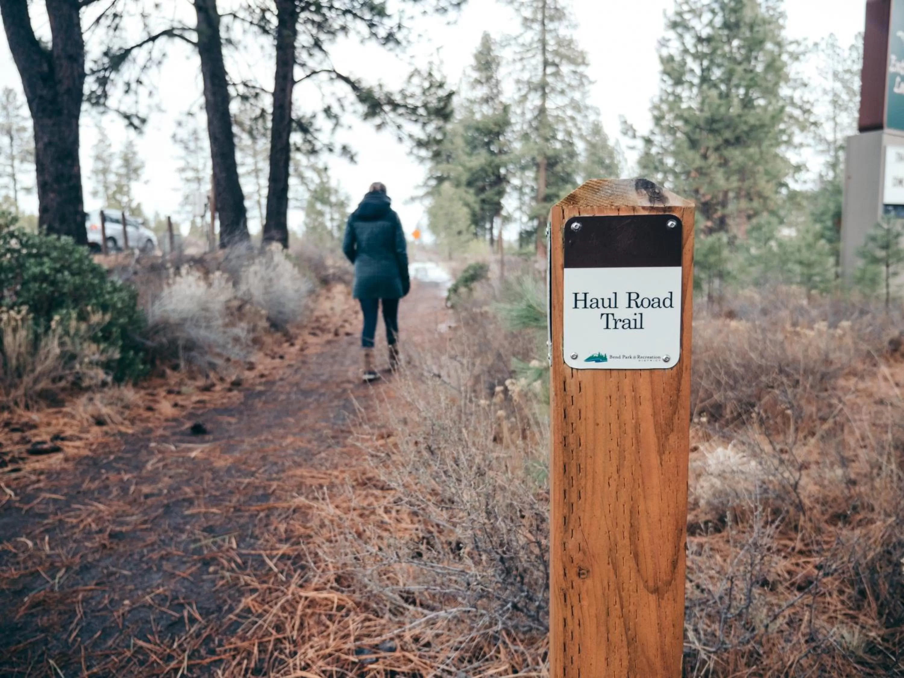 Natural landscape in LOGE Bend
