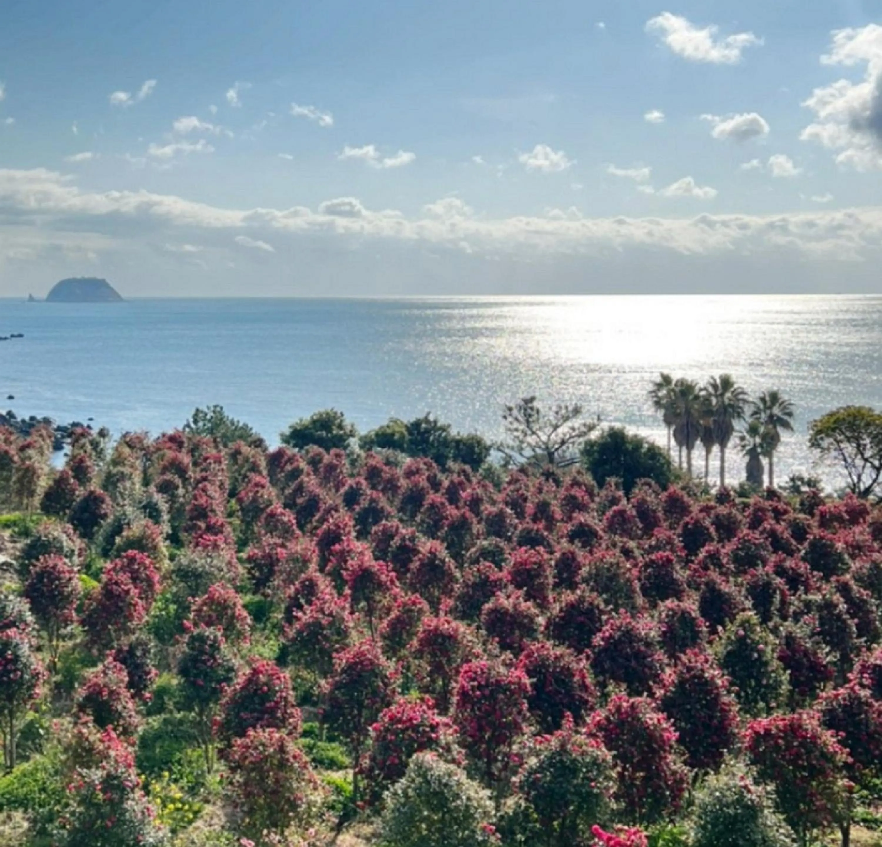 Garden in GoldOne Hotel & Suites
