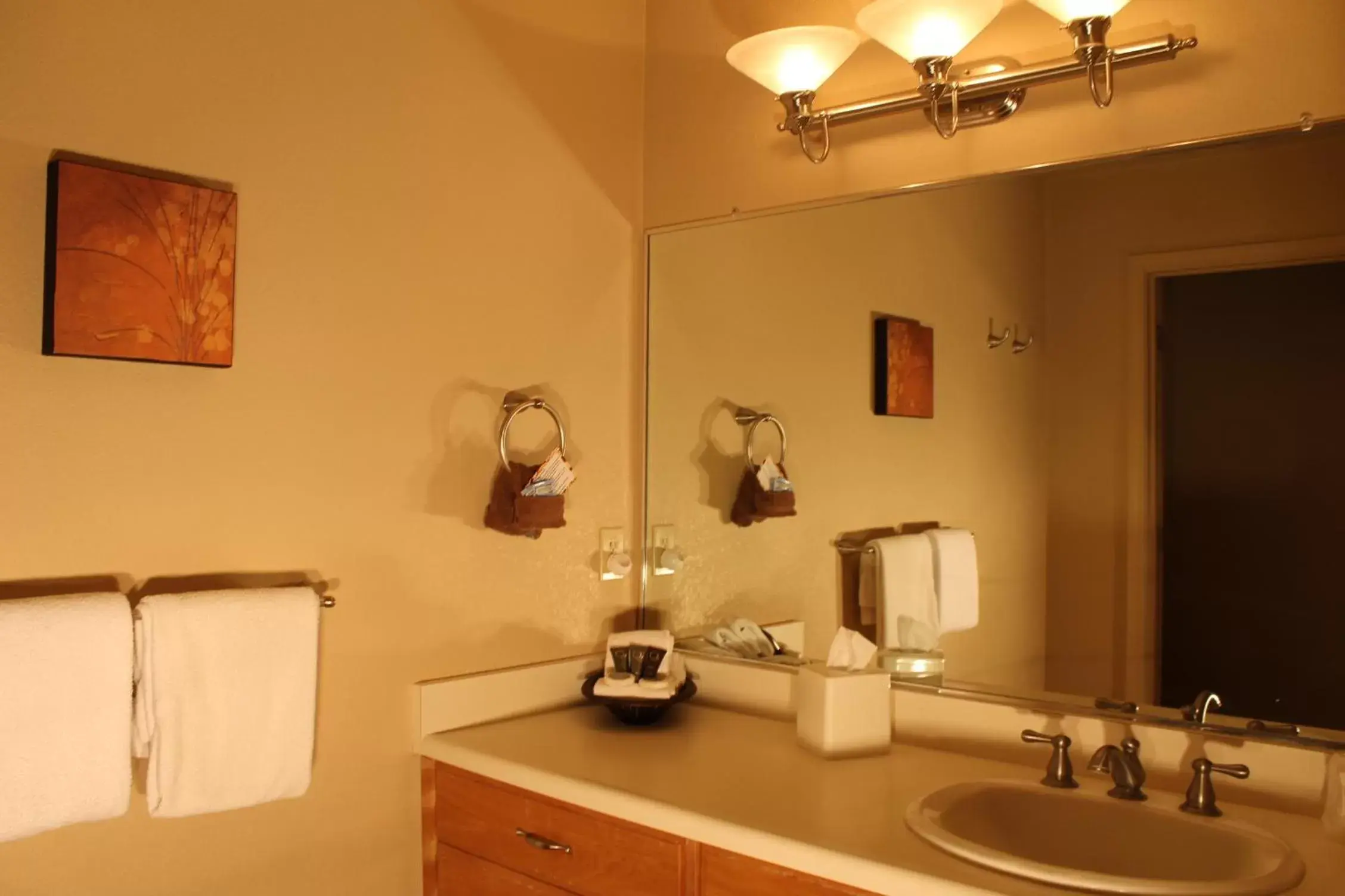 Bathroom in Mount Shasta Resort