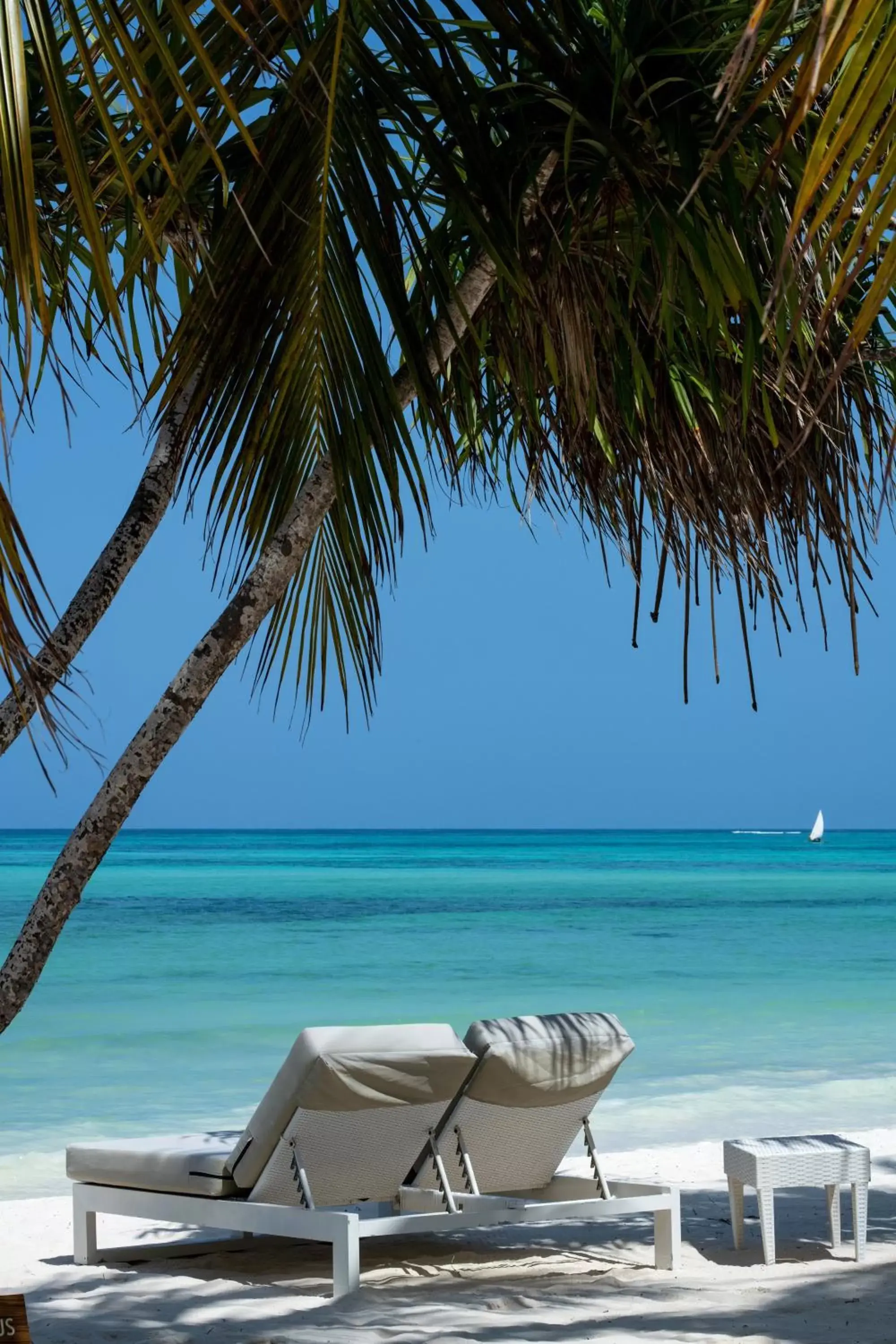 Beach in Melia Zanzibar