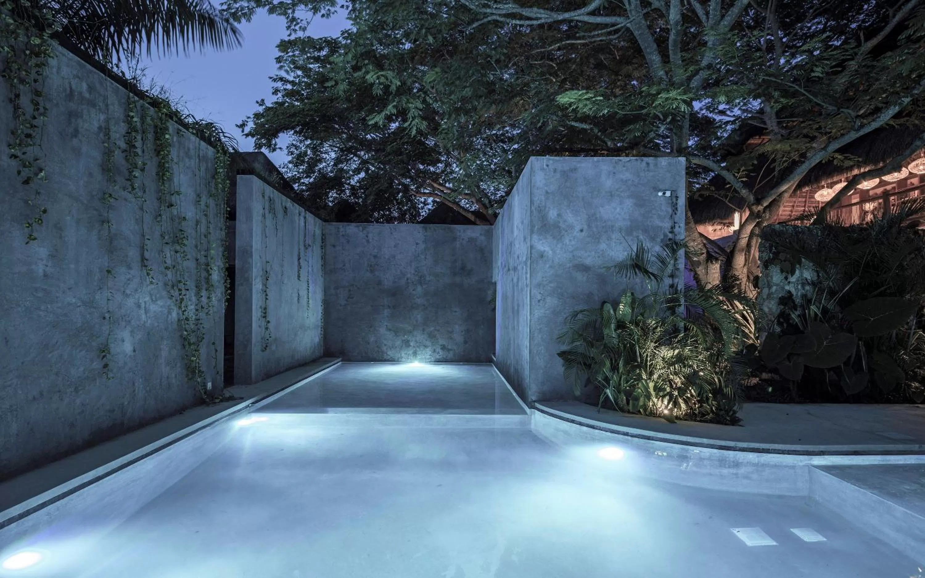 Swimming Pool in Hotel Casa Hormiga