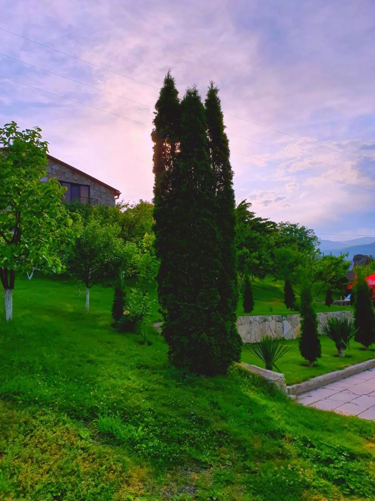 Spring in Guest House Ijevan's Garden