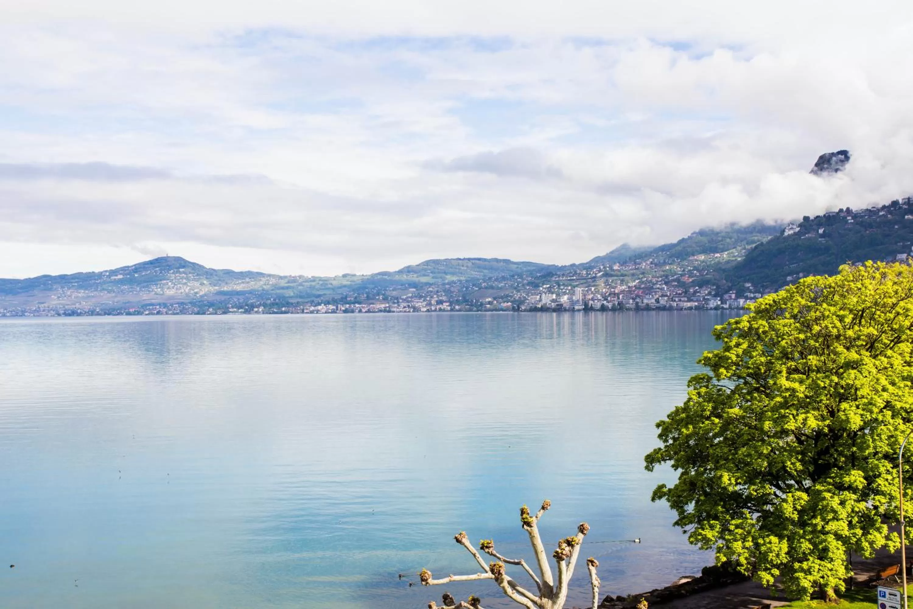 View (from property/room) in Hôtel du Port