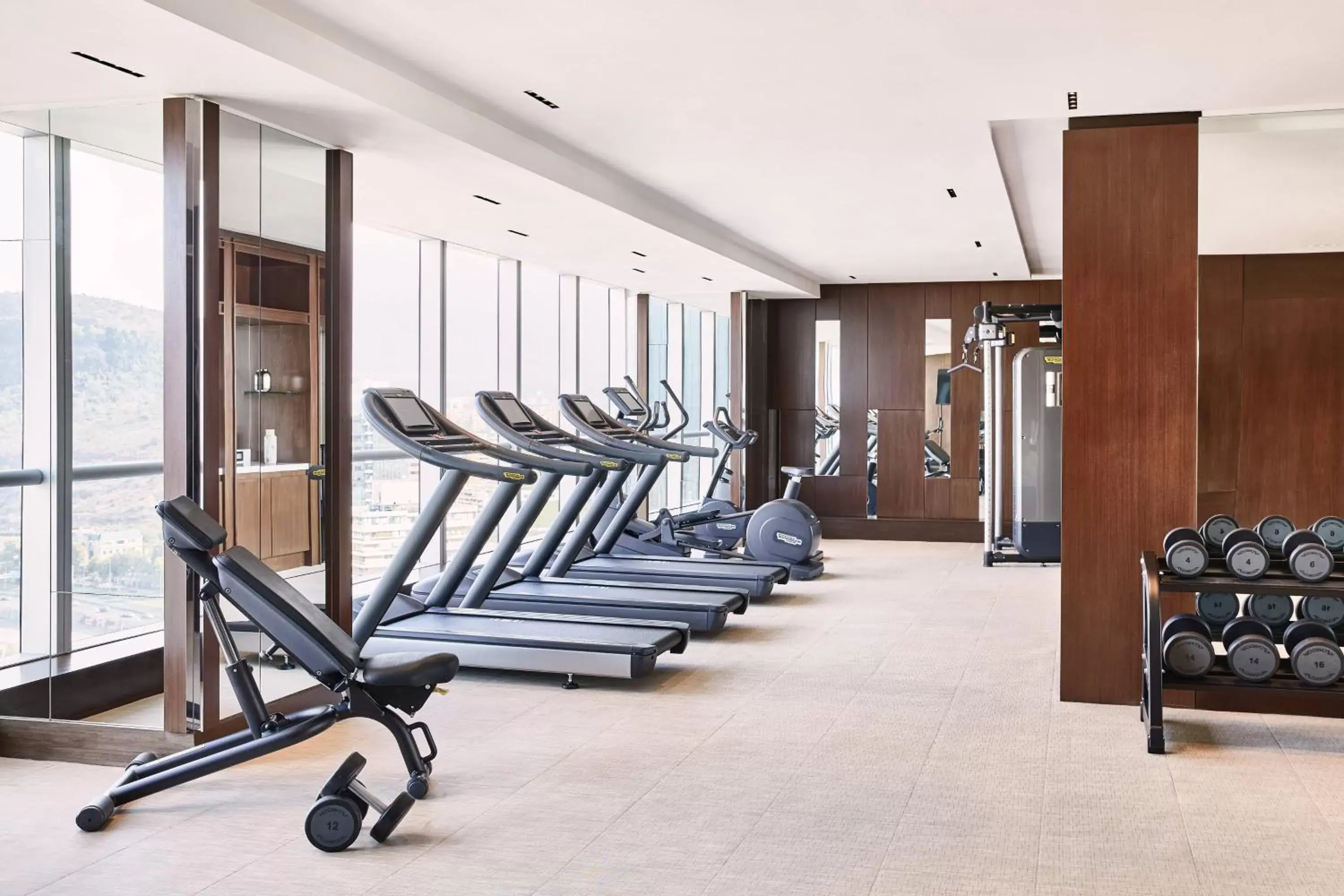 Fitness centre/facilities, Fitness Center/Facilities in AC Hotel by Marriott Santiago Costanera Center