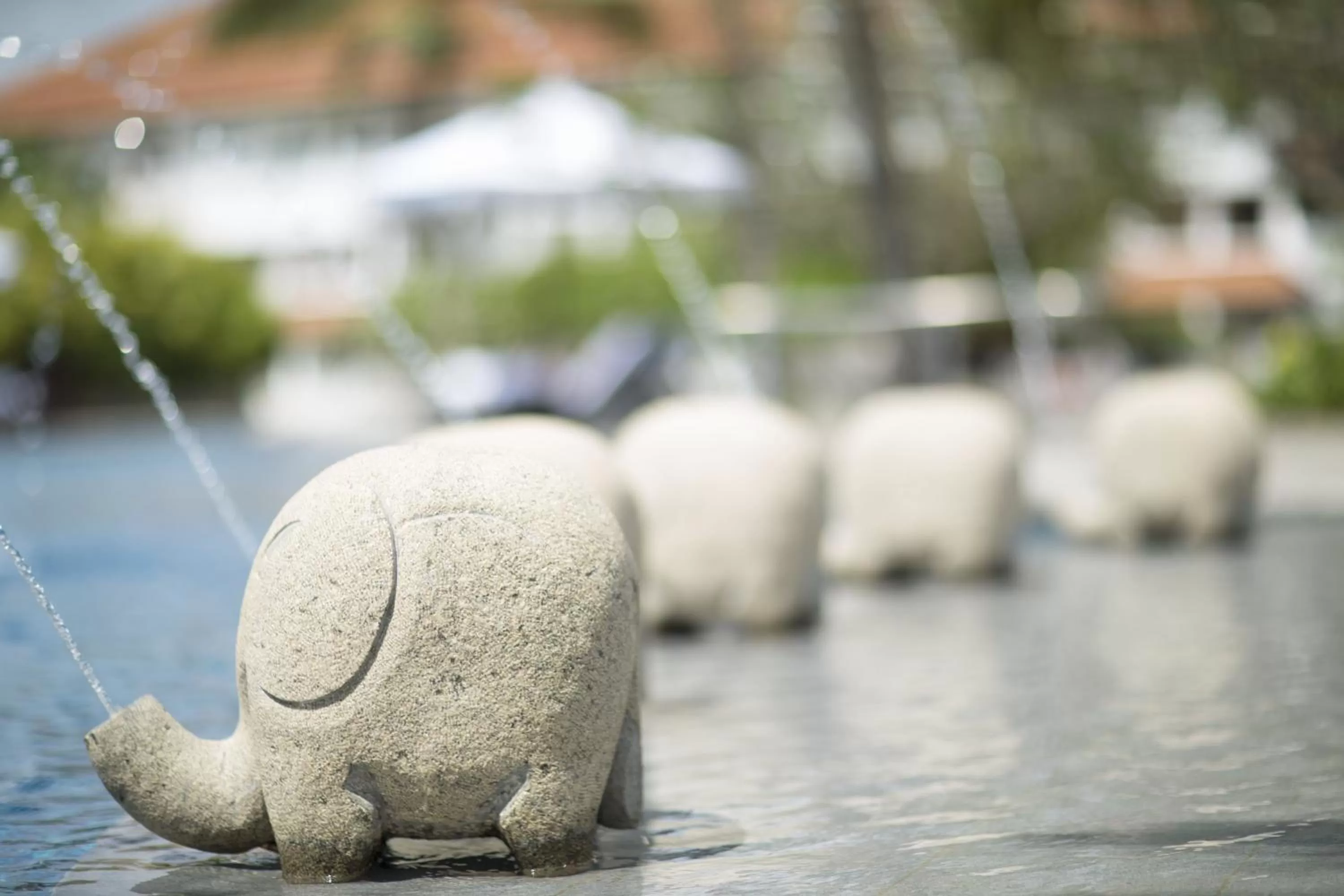 Decorative detail in Taj Bentota Resort & Spa