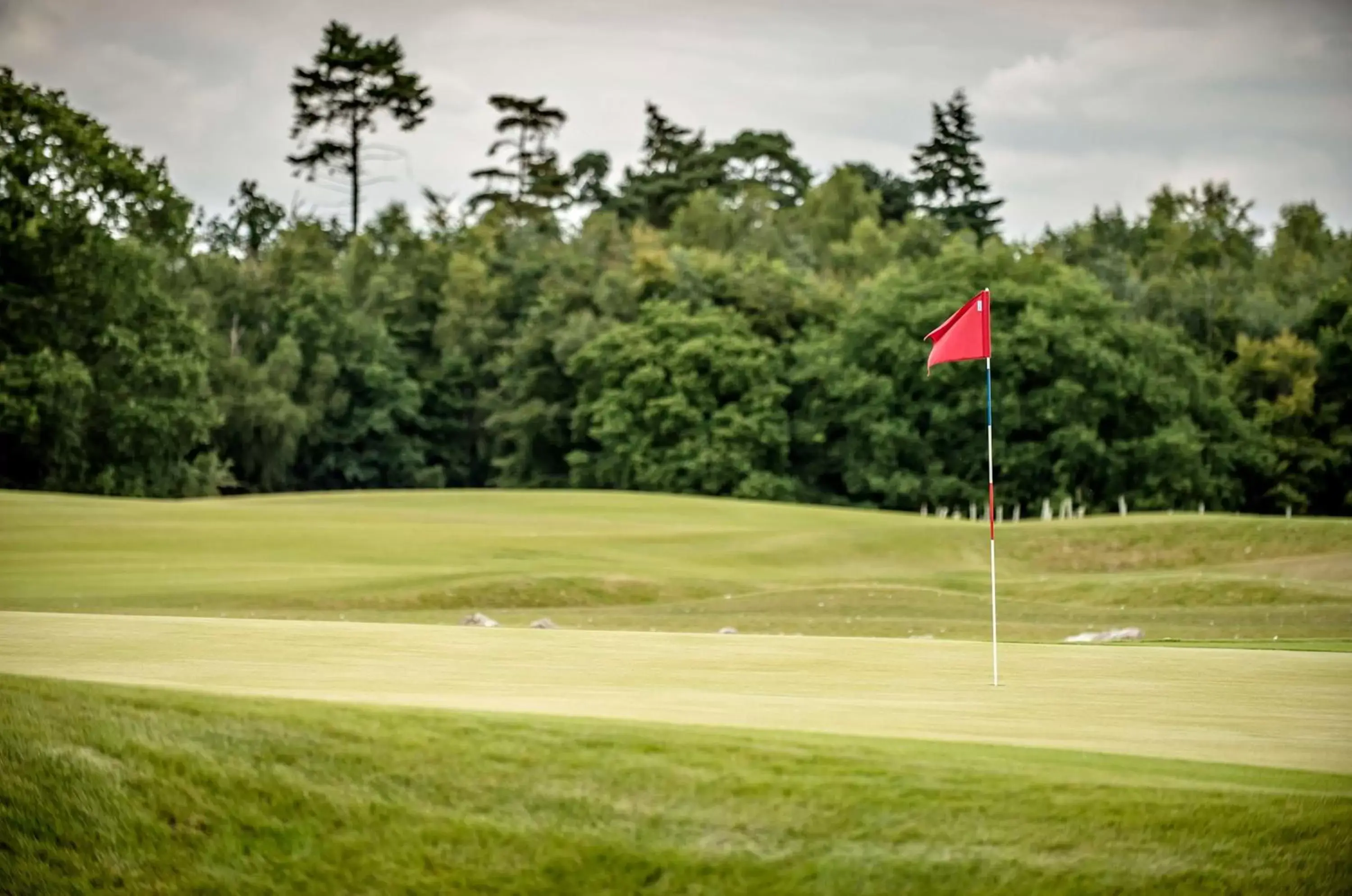 Sports, Golf in Hilton at the Ageas Bowl, Southampton