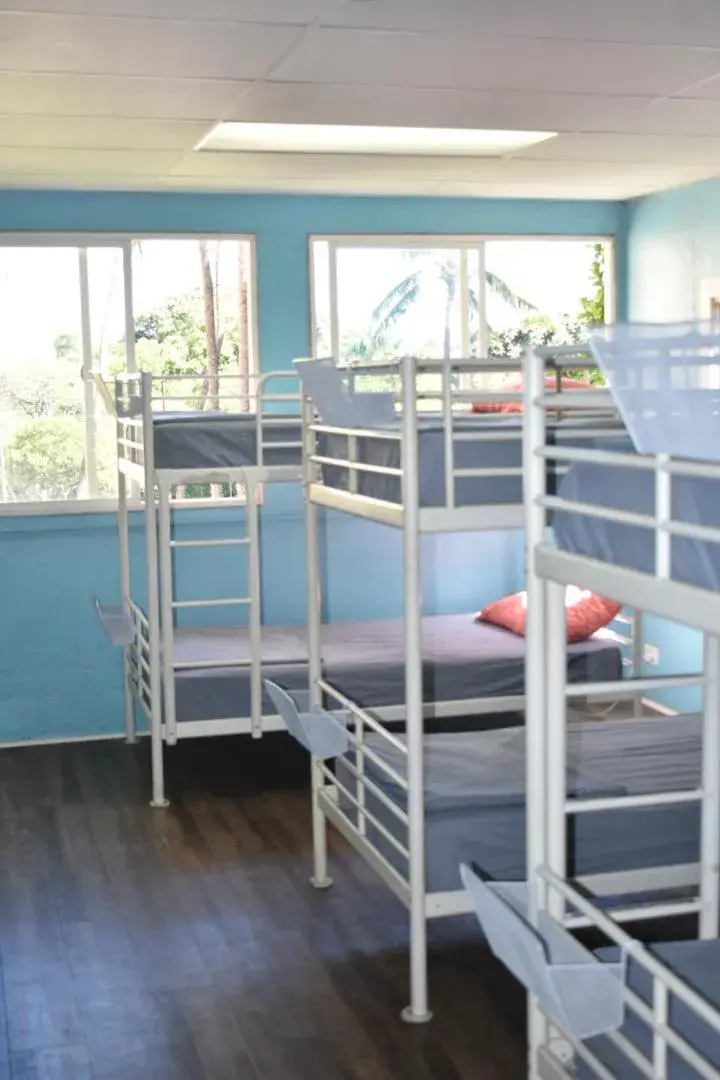 Bunk Bed in Polynesian Hostel Beach Club