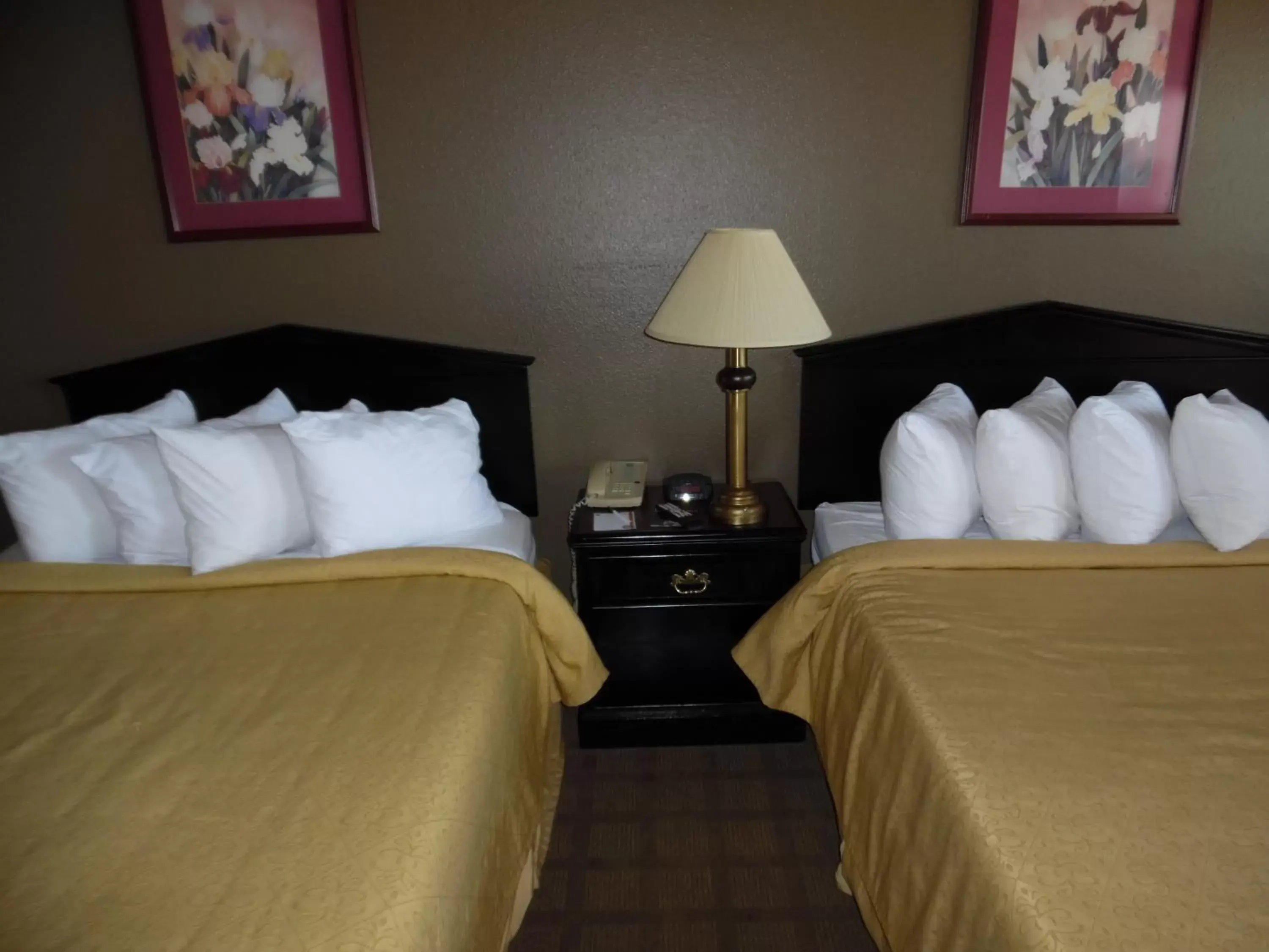 Standard Queen Room with Two Queen Beds - Non-Smoking in Quality Inn & Suites Hot Springs-Lake Hamilton