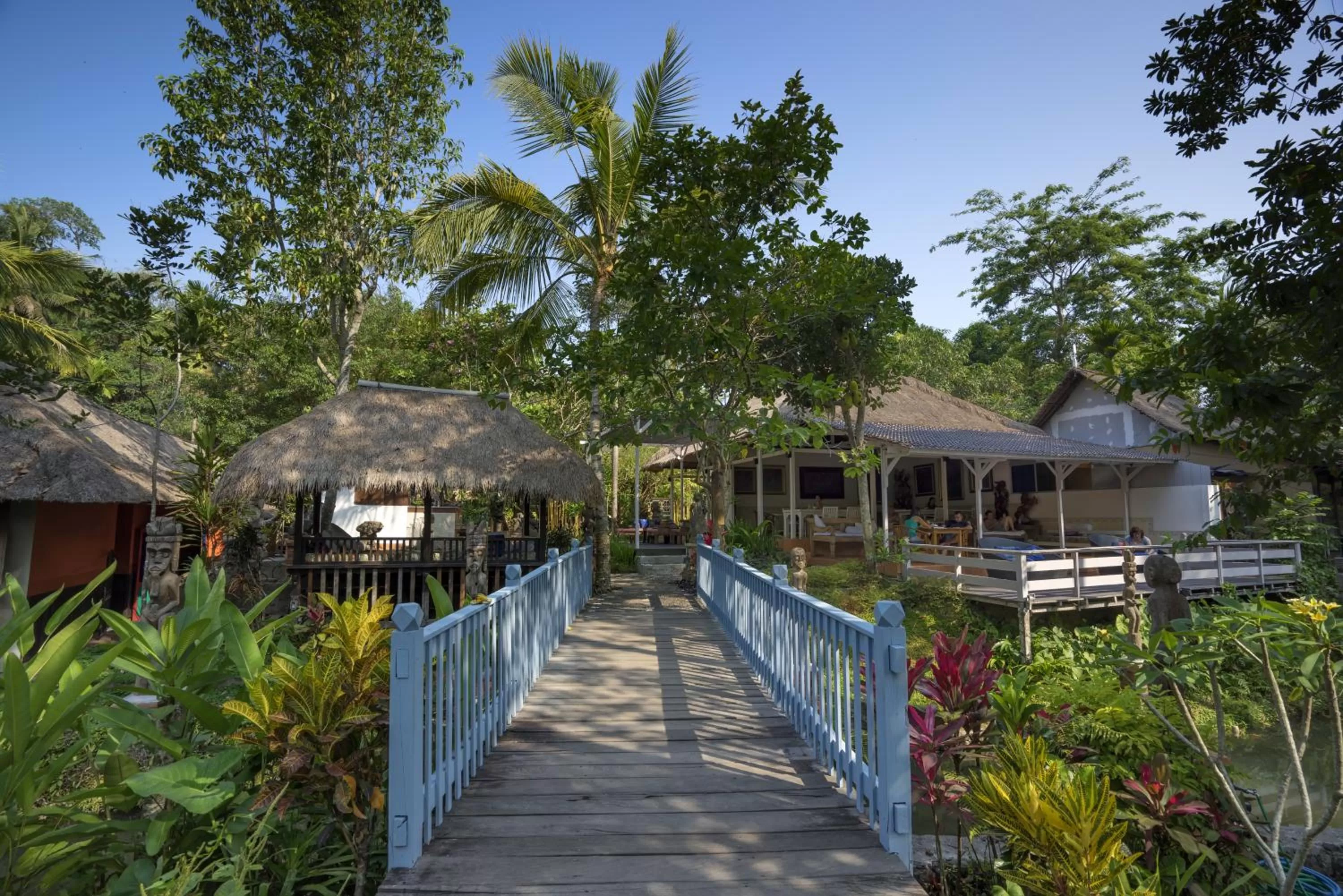 Day in Ubud Sari Health Resort