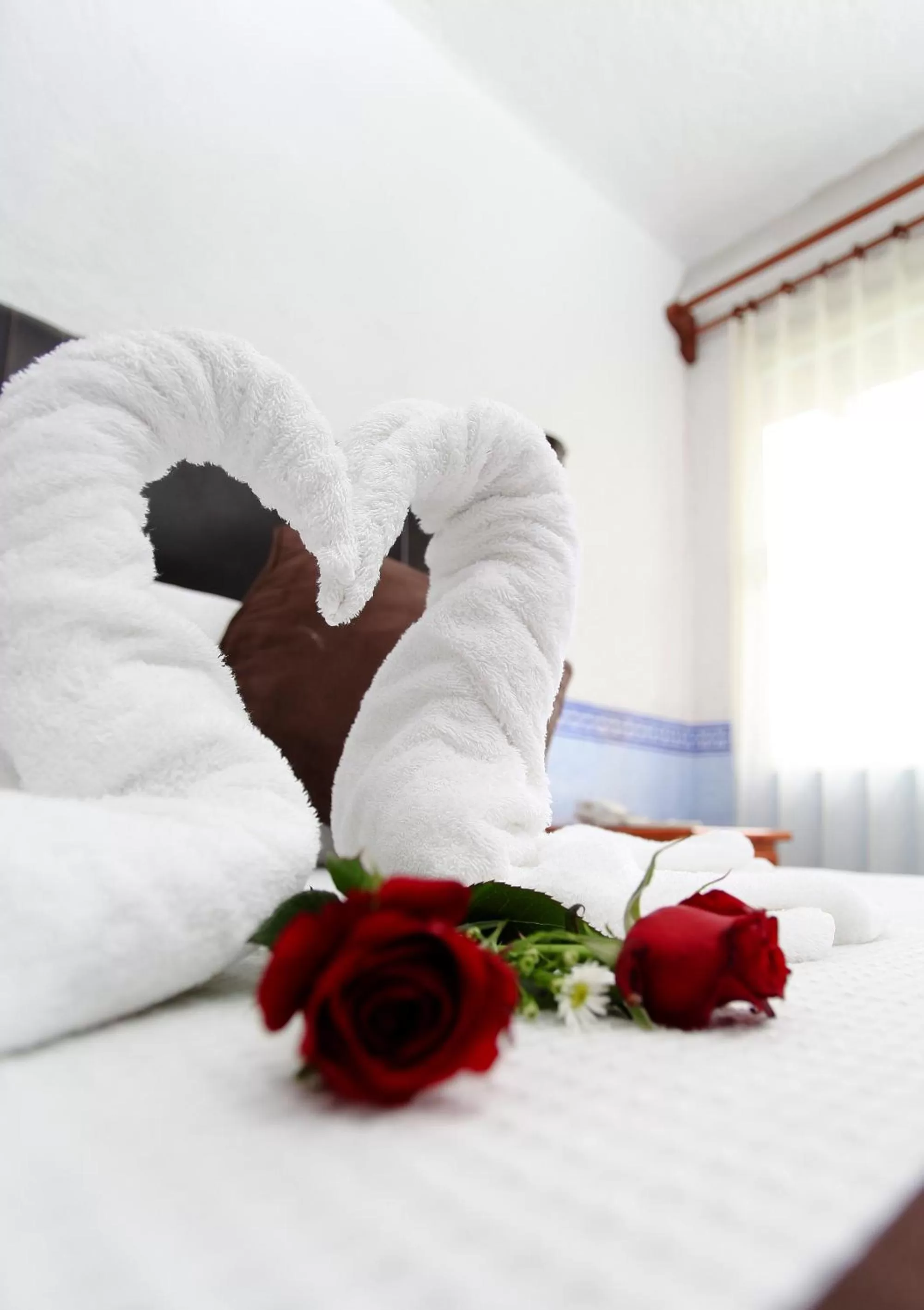 Bed in Hotel Real Del Valle