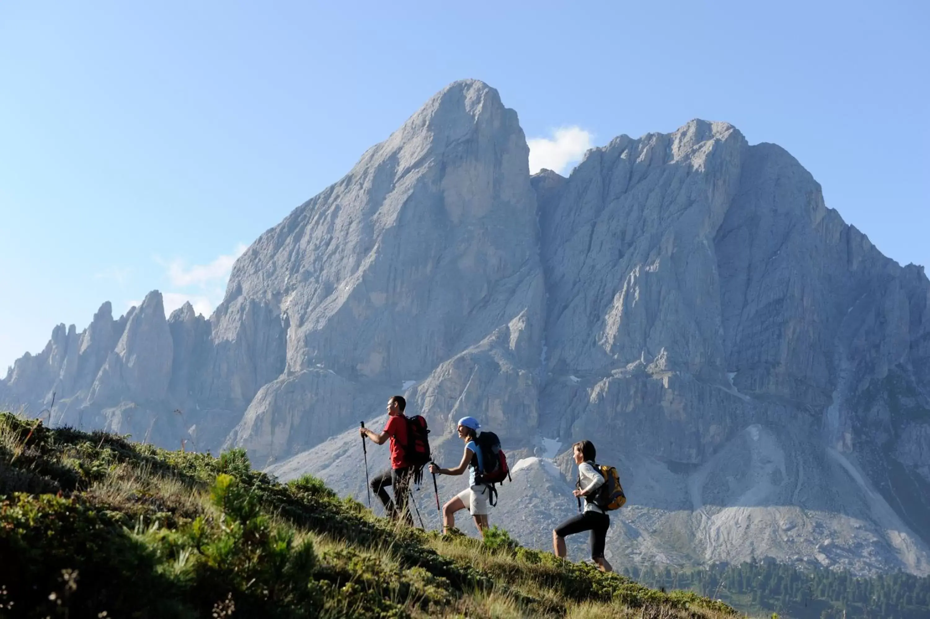 Natural landscape in Hotel ANDER