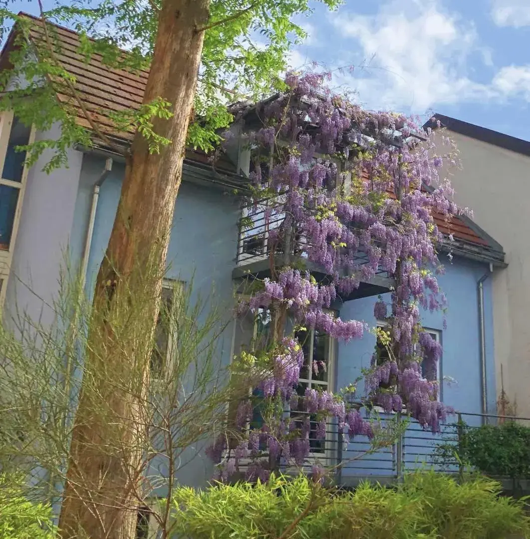 Neighbourhood, Garden in Hotel Mariahilf München